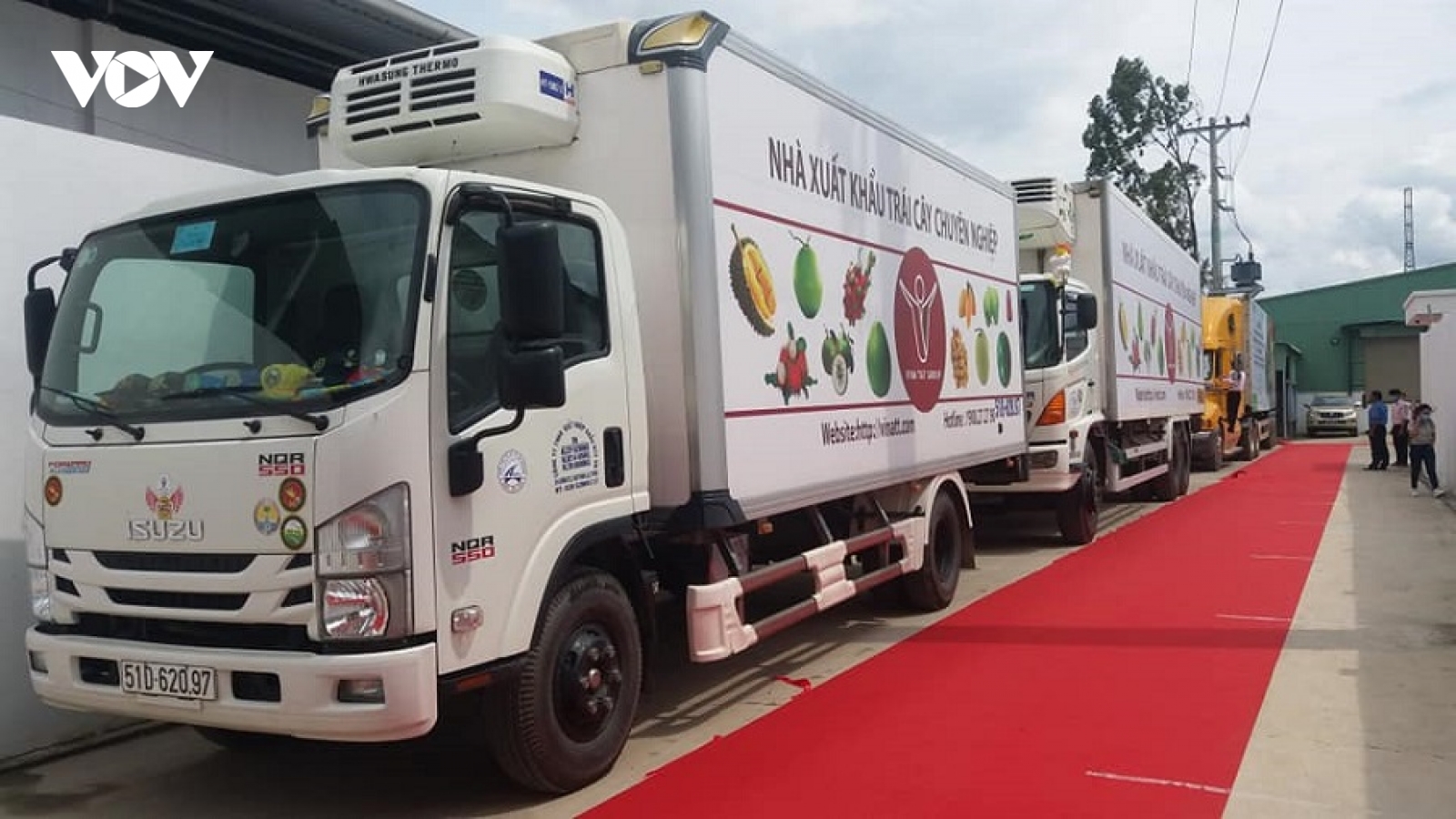 Đưa 3 mặt hàng trái cây đầu tiên của Việt Nam xuất sang EU