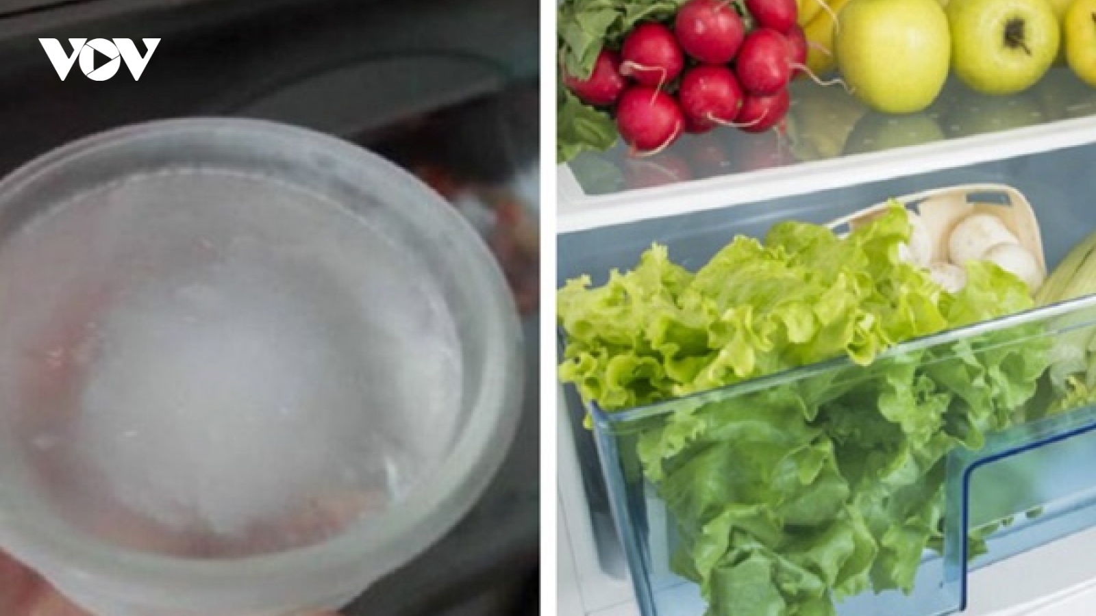Mẹo giúp thực phẩm tủ lạnh luôn tươi mà còn tiết kiệm được khối tiền điện