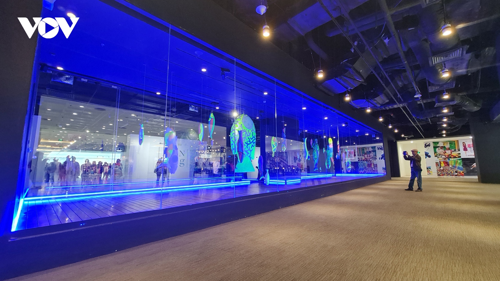 Triển lãm Davines Art Series “Biển sống” -  Lời kêu gọi về gìn giữ môi trường biển