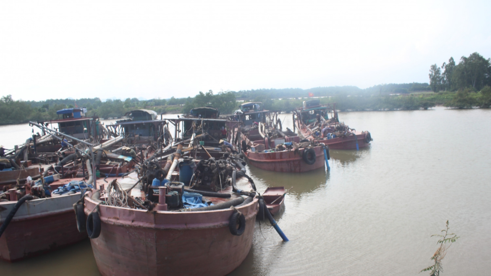 Bắt giữ và xử lý 6 tàu vận chuyển cát trái phép ở Quảng Ninh