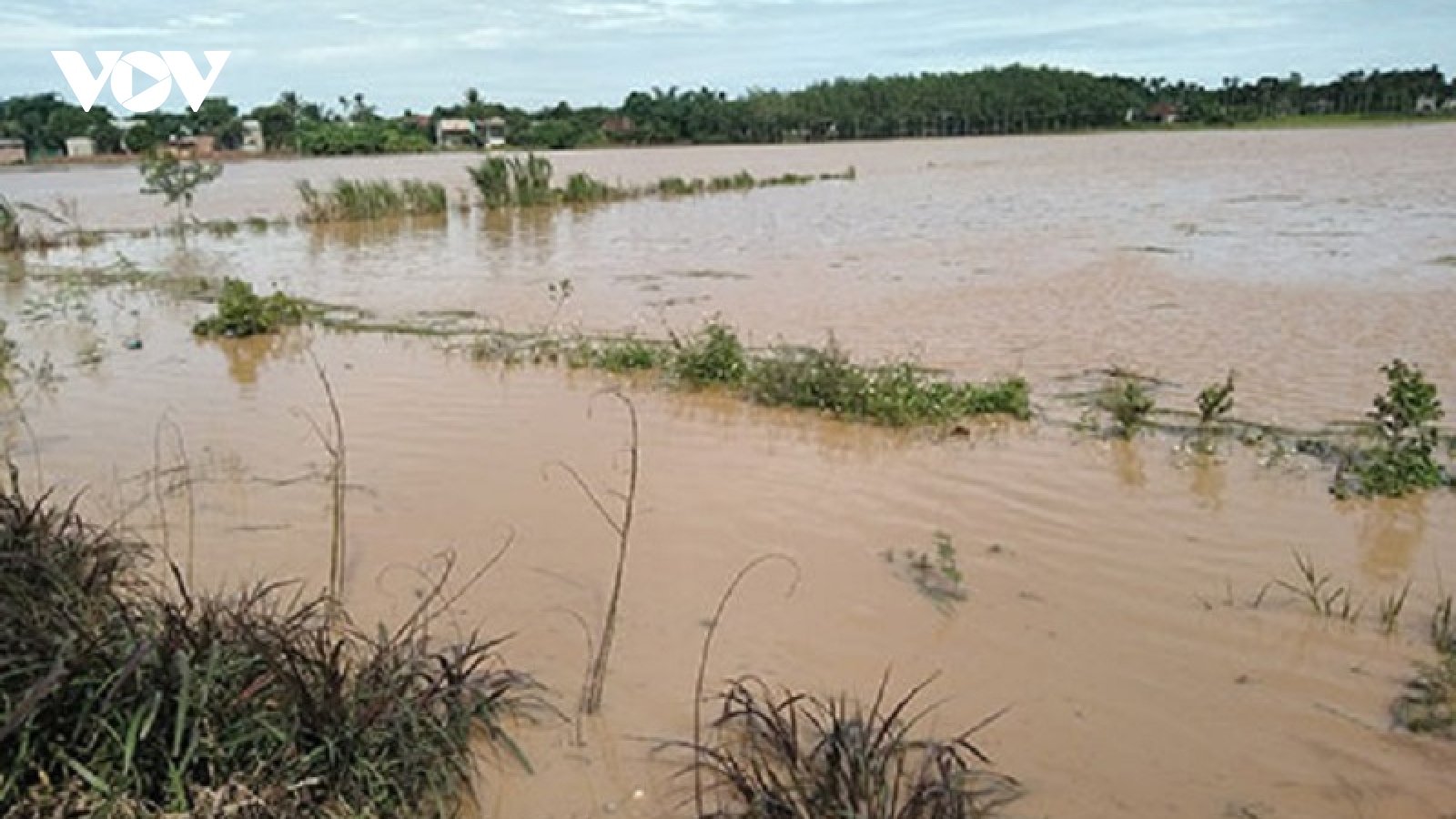 Mưa liên tục gây thiệt hại lớn tại Ninh Thuận và Bình Thuận