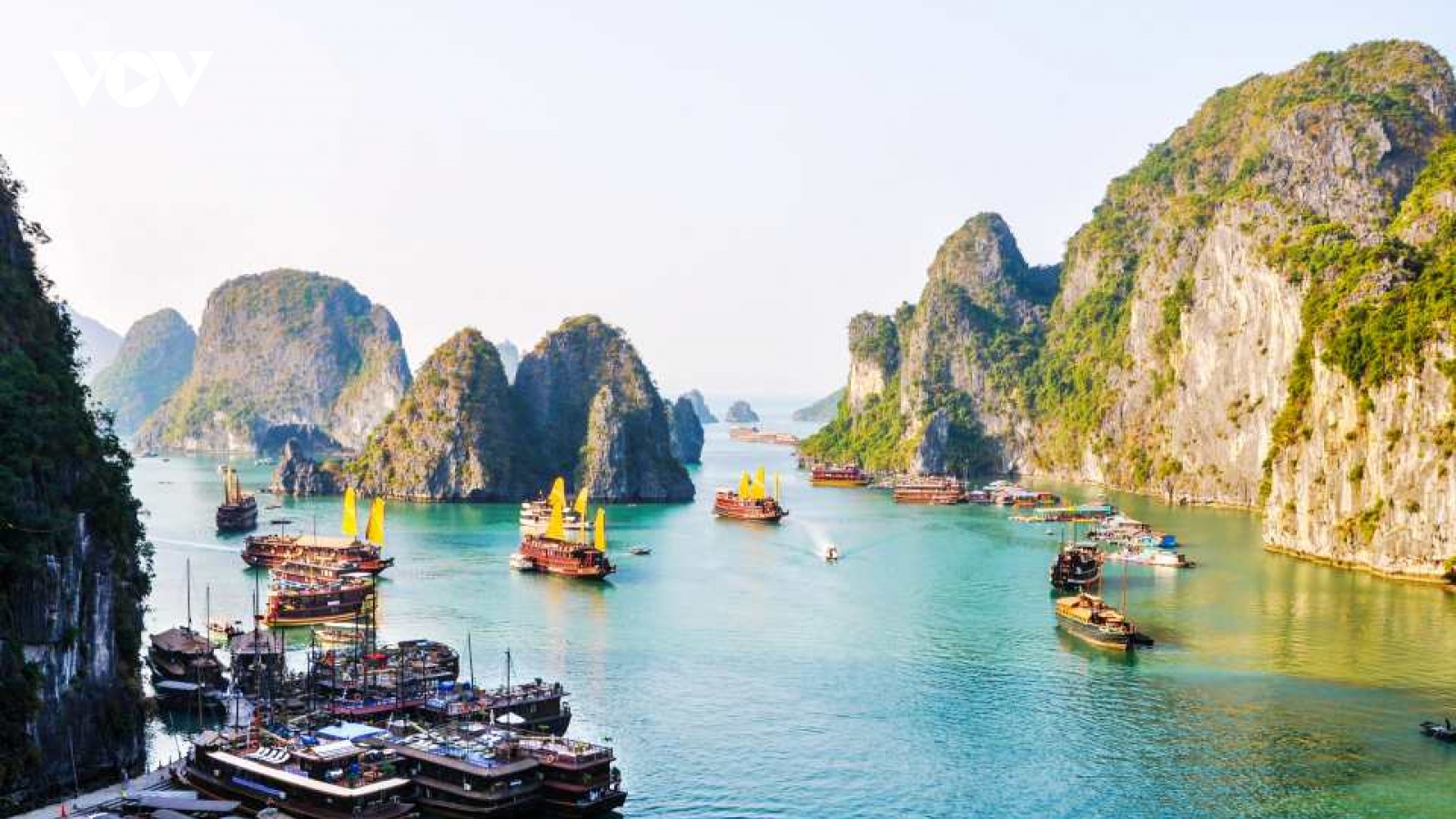 Tú ông điều "chân dài" bán dâm cho khách trên du thuyền ở Hạ Long