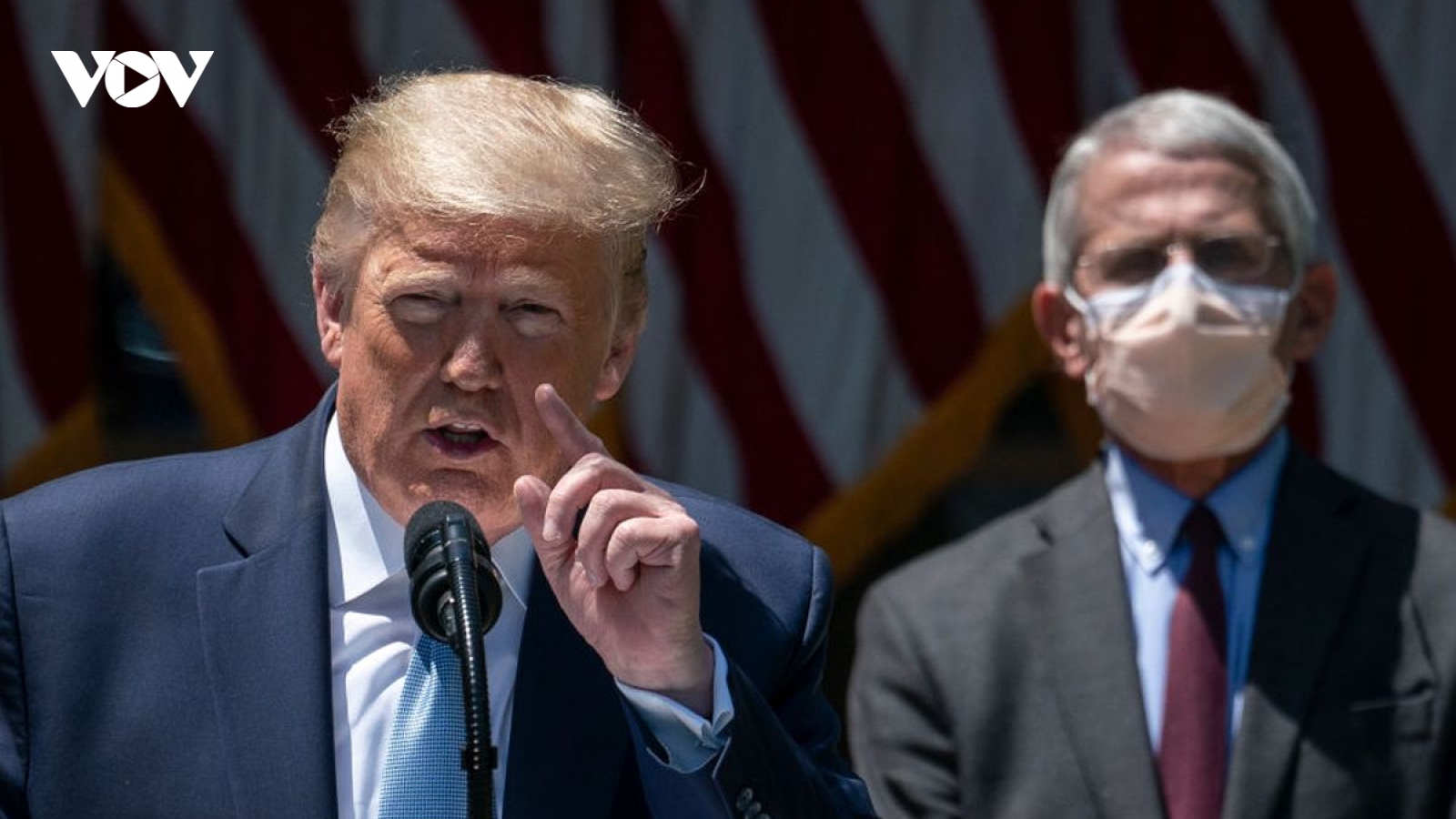 Tổng thống Trump gọi Tiến sỹ Fauci là “thảm họa”