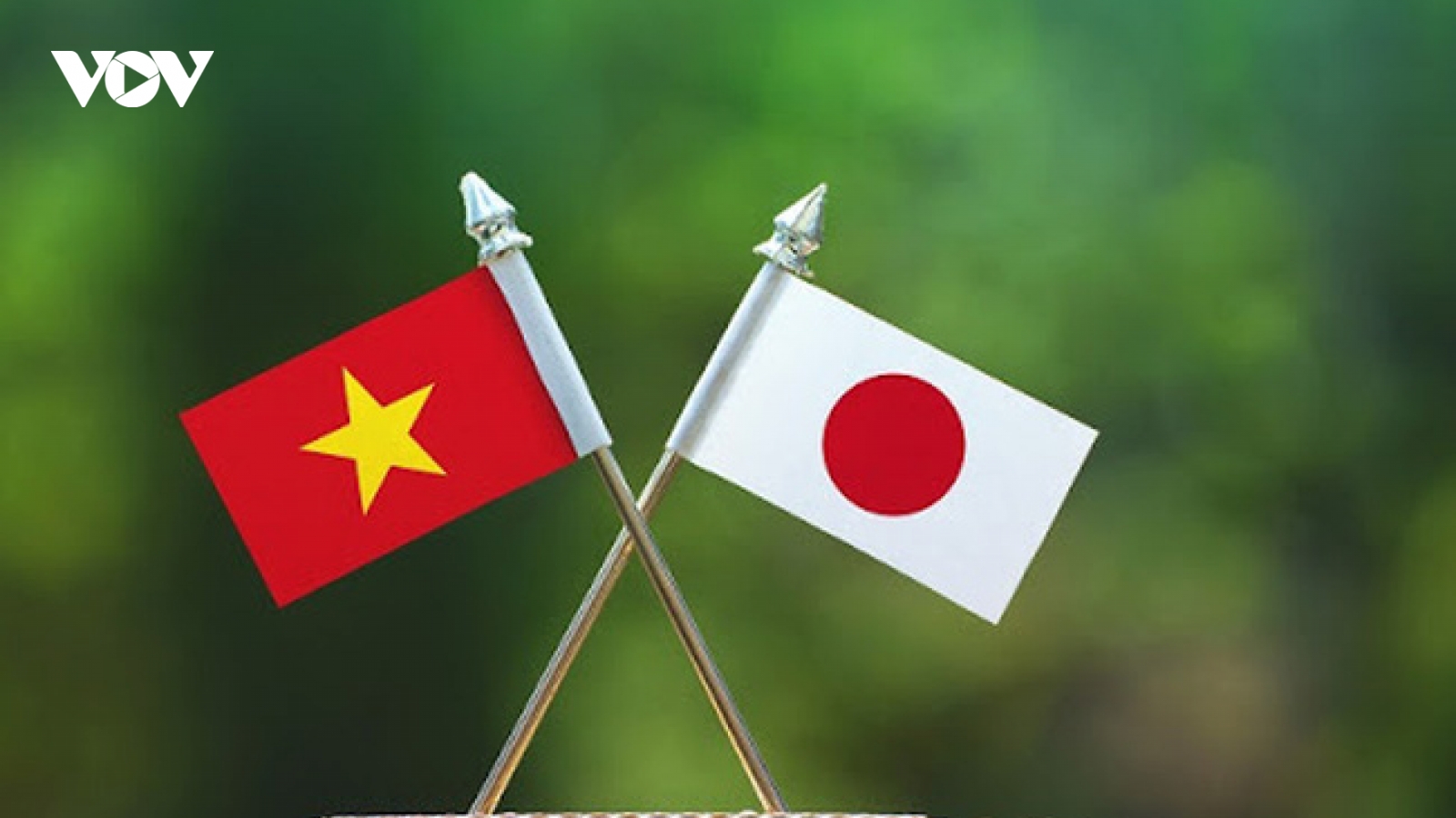 Việt Nam-Nhật Bản: Thúc đẩy mạnh mẽ quan hệ Đối tác chiến lược