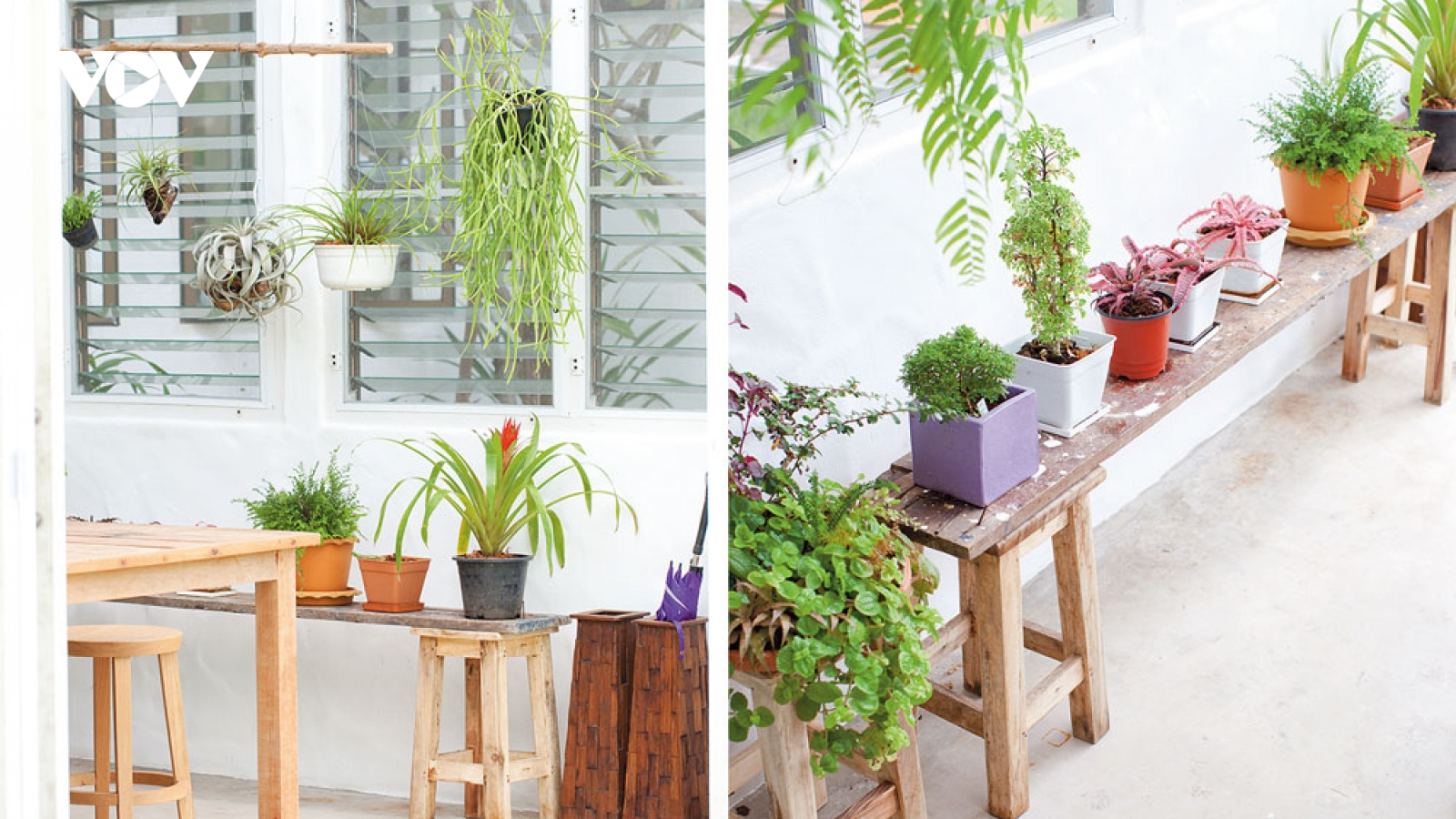 Ngôi nhà dành cho gia chủ thích cuộc sống đơn giản, nhẹ nhàng