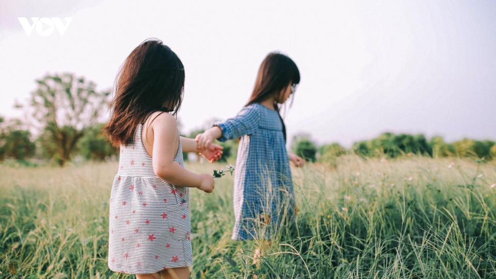 Những giải pháp giúp bạn thân thiết hơn với anh chị em trong gia đình