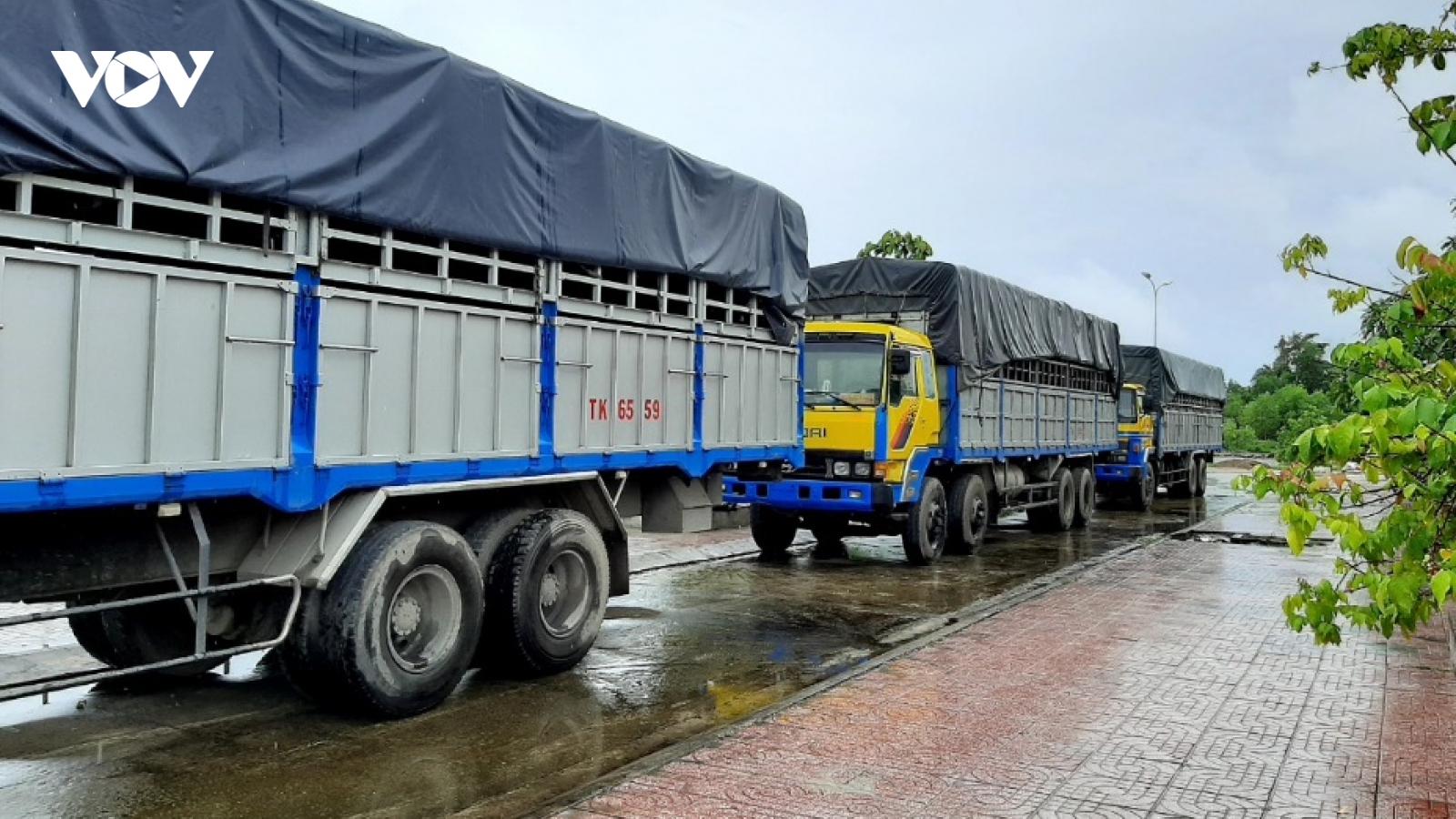 Tạm giữ 3 xe tải sử dụng biển kiểm soát, giấy tờ quân sự giả