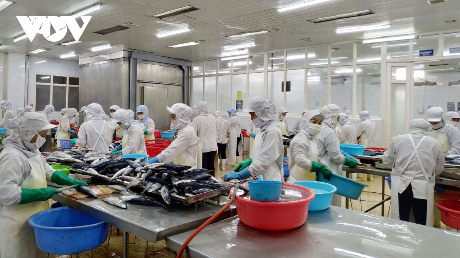 Công nghệ và đổi mới sáng tạo giúp doanh nghiệp “vực dậy” hậu Covid-19