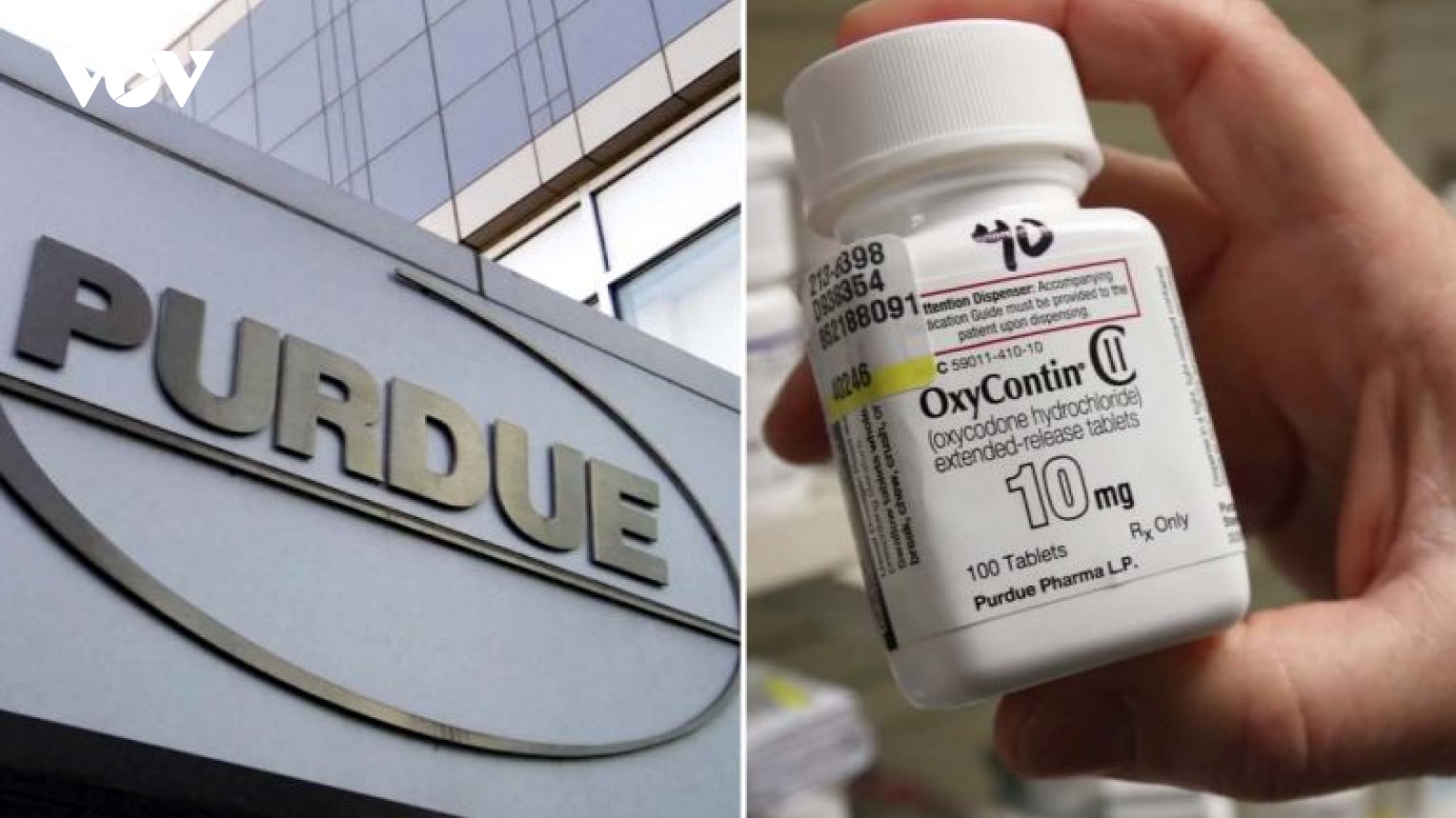 Purdue Pharma đồng ý nộp phạt hơn 8 tỷ USD để giải quyết vụ kiện với Chính phủ Mỹ