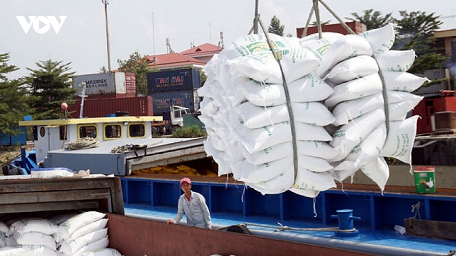 Thị trường Trung Đông – châu Phi: Dư địa lớn cho các doanh nghiệp Việt