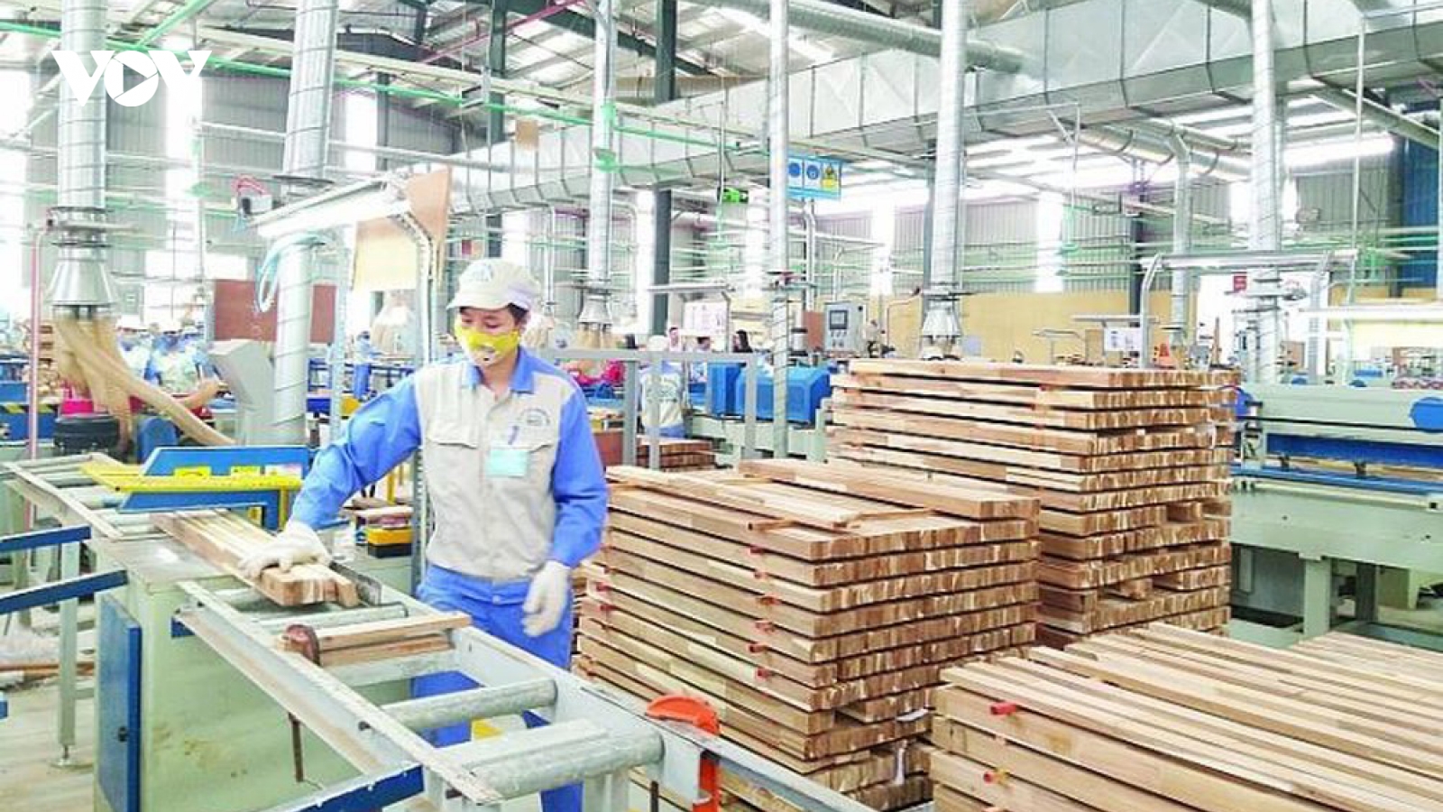 Chữa “bệnh” gian lận thương mại để ngành gỗ Việt sống khỏe