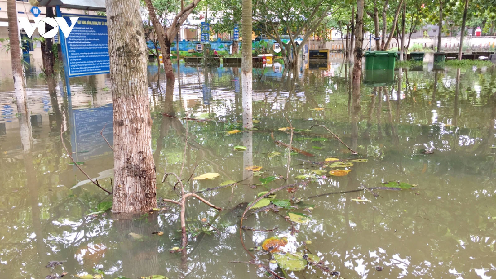 Học sinh huyện Hoà Vang, TP Đà Nẵng đi học vào ngày 15/10