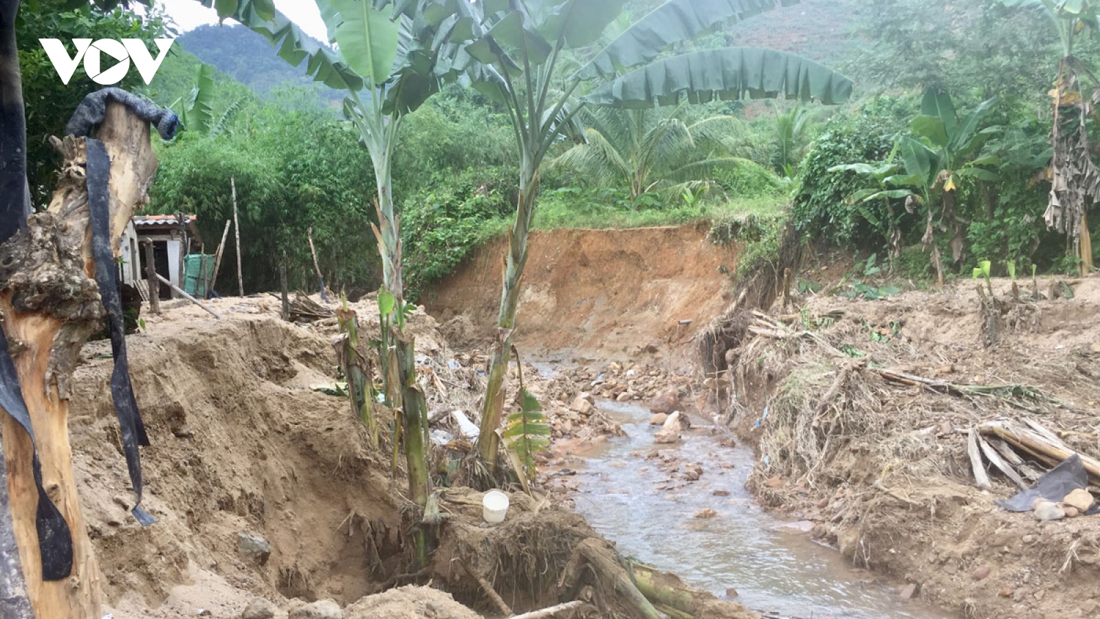 Người dân Quảng Nam vừa khắc phục hậu quả mưa lũ, vừa phòng chống áp thấp nhiệt đới