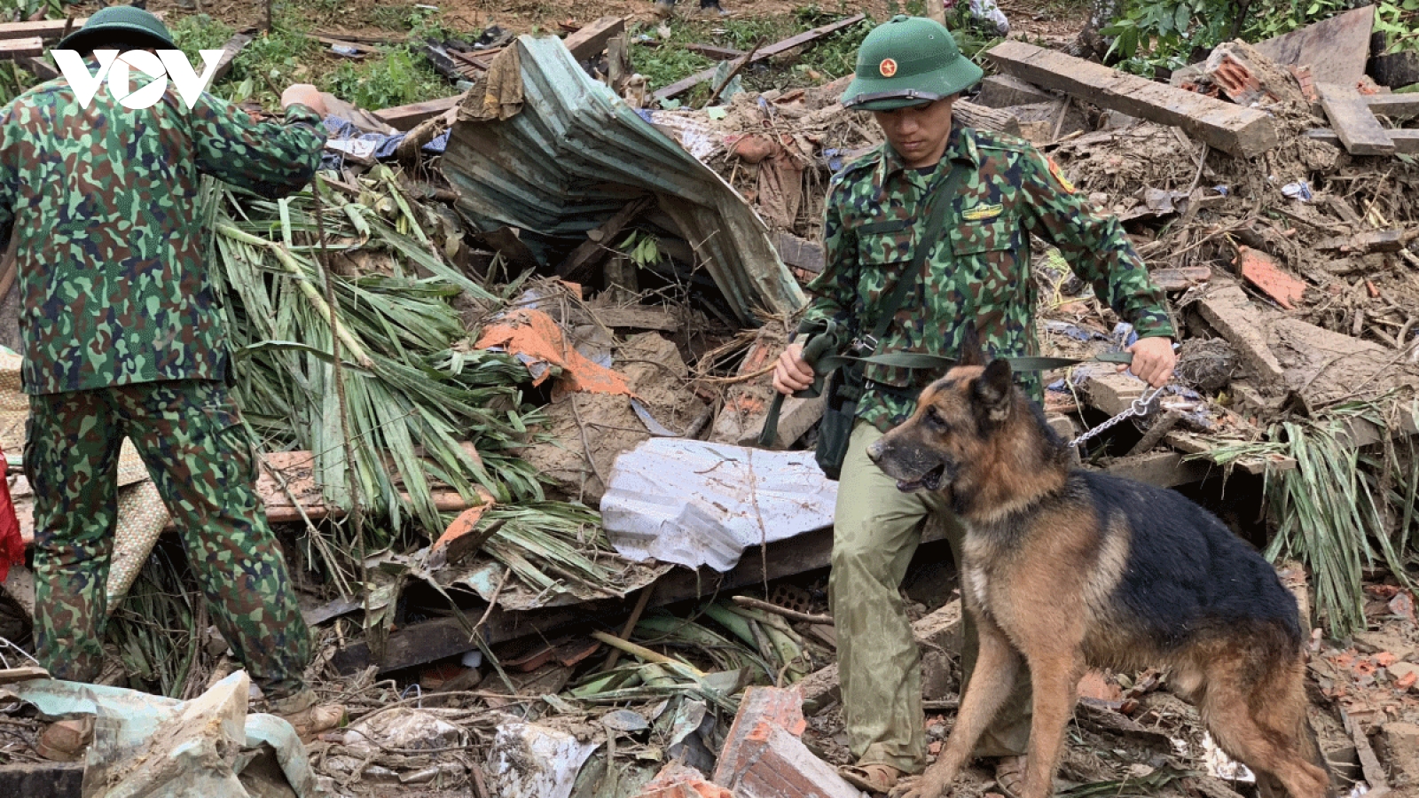 Sniffer dogs join search operation at landslide site