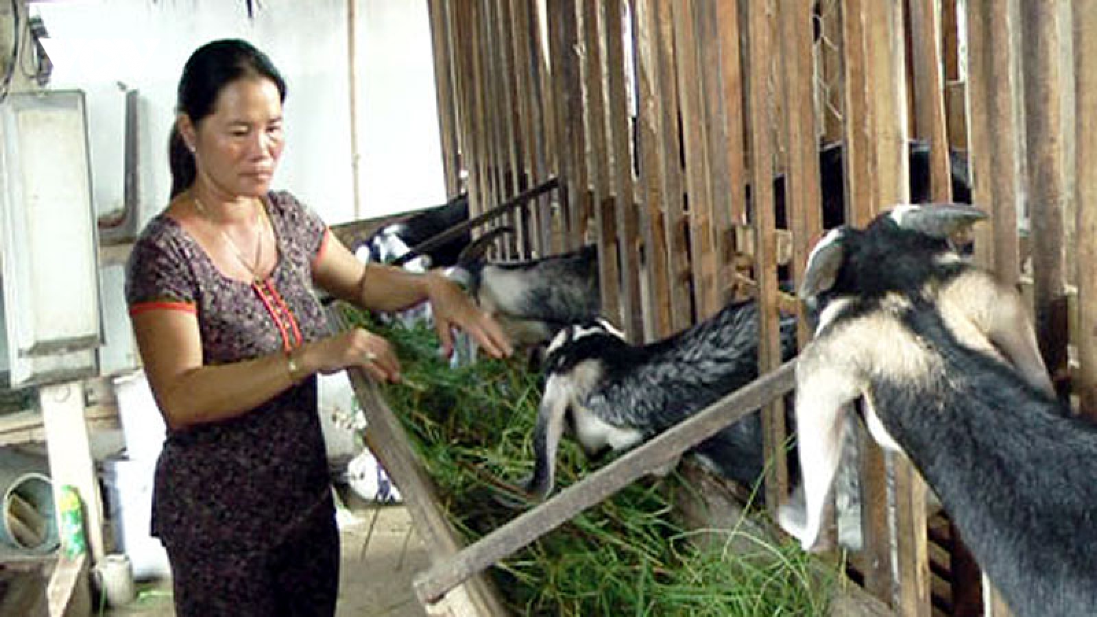 Chương trình OCOP khẳng định rõ vai trò của đoàn thể phụ nữ