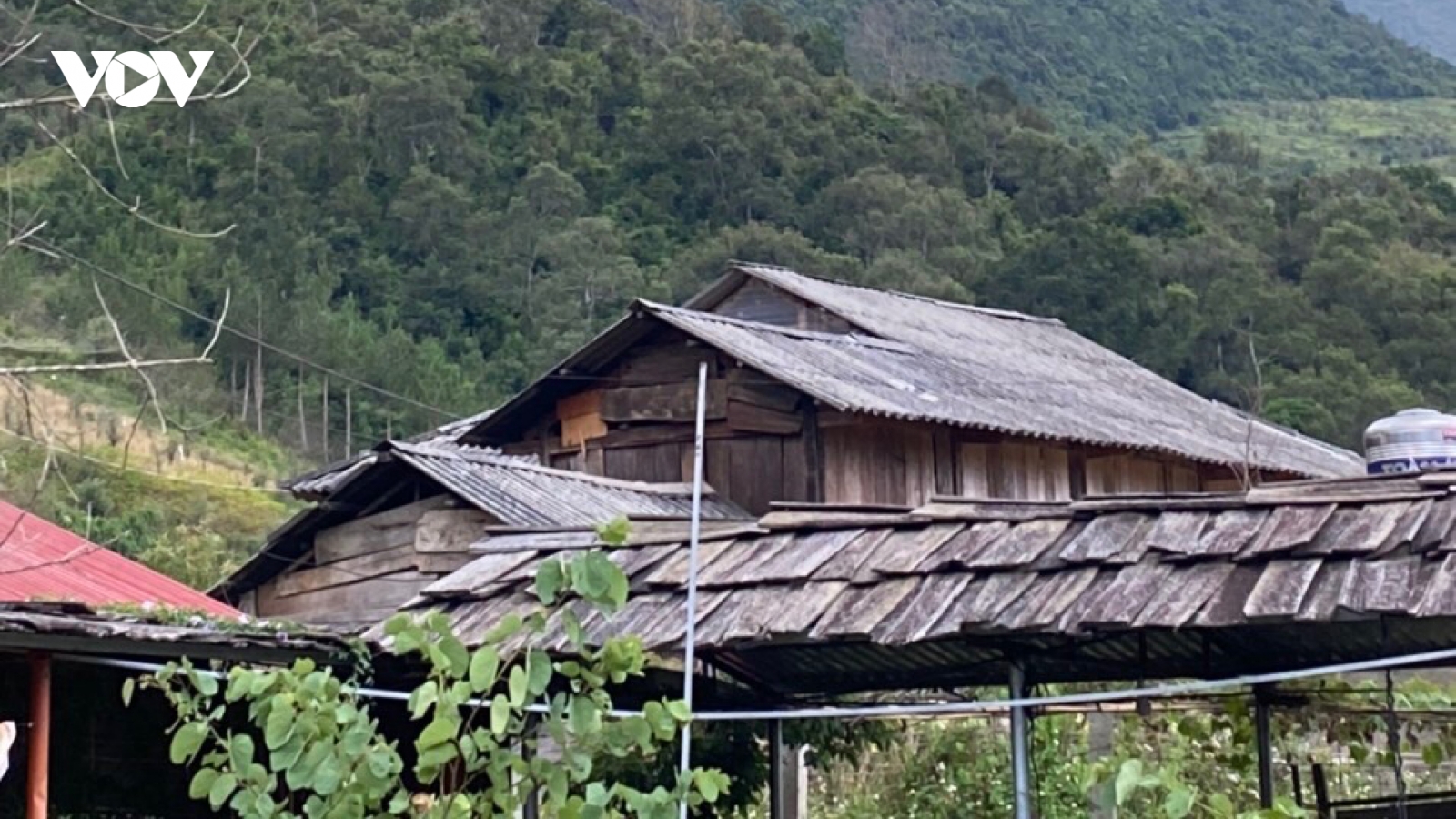 Án mạng, con trai nghiện ma túy sát hại cha rồi tự sát