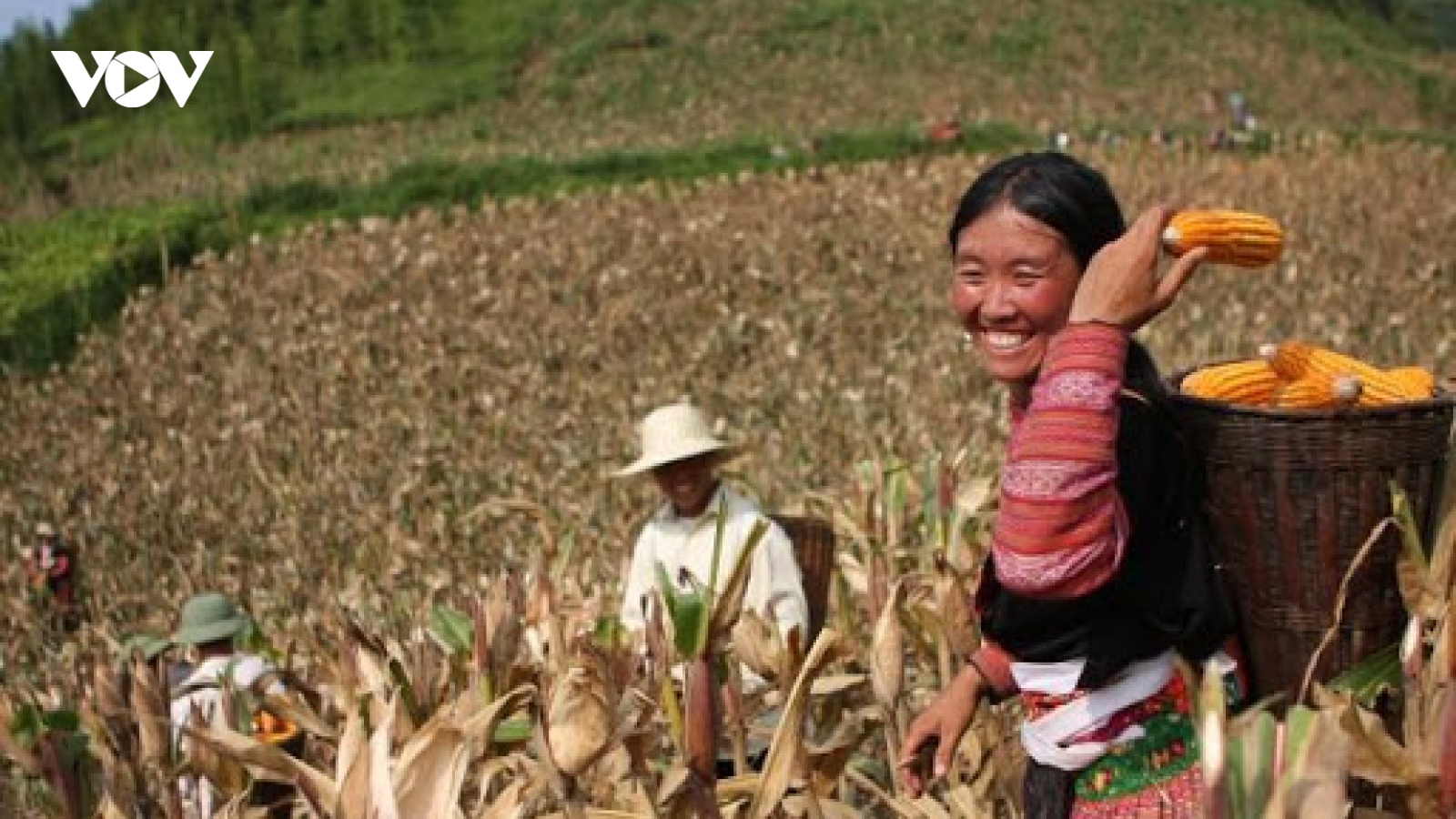 Ngày quốc tế xóa đói giảm nghèo 2020: Chung tay vì công bằng xã hội cho tất cả mọi người