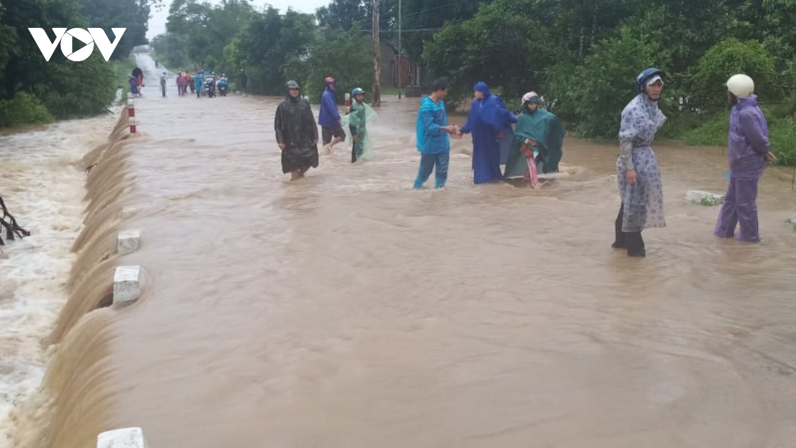 Ảnh: Bão số 12 đổ bộ vào Khánh Hòa, Phú Yên gây mưa lớn, nhiều cây xanh gãy đổ