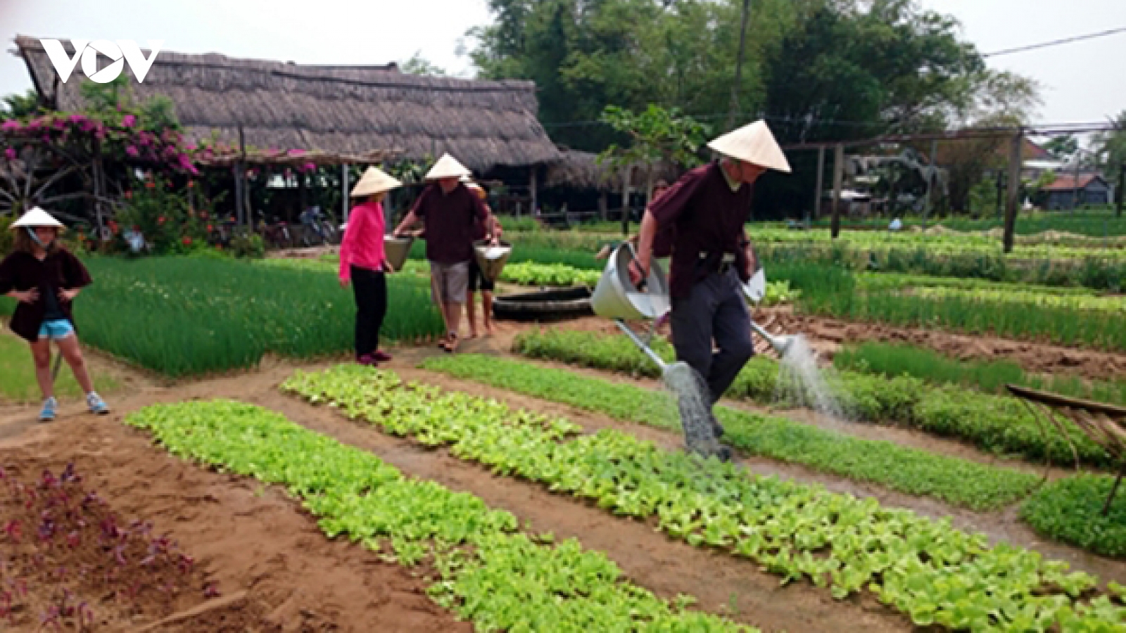 Kinh doanh du lịch nông nghiệp còn mang nhiều tính tự phát