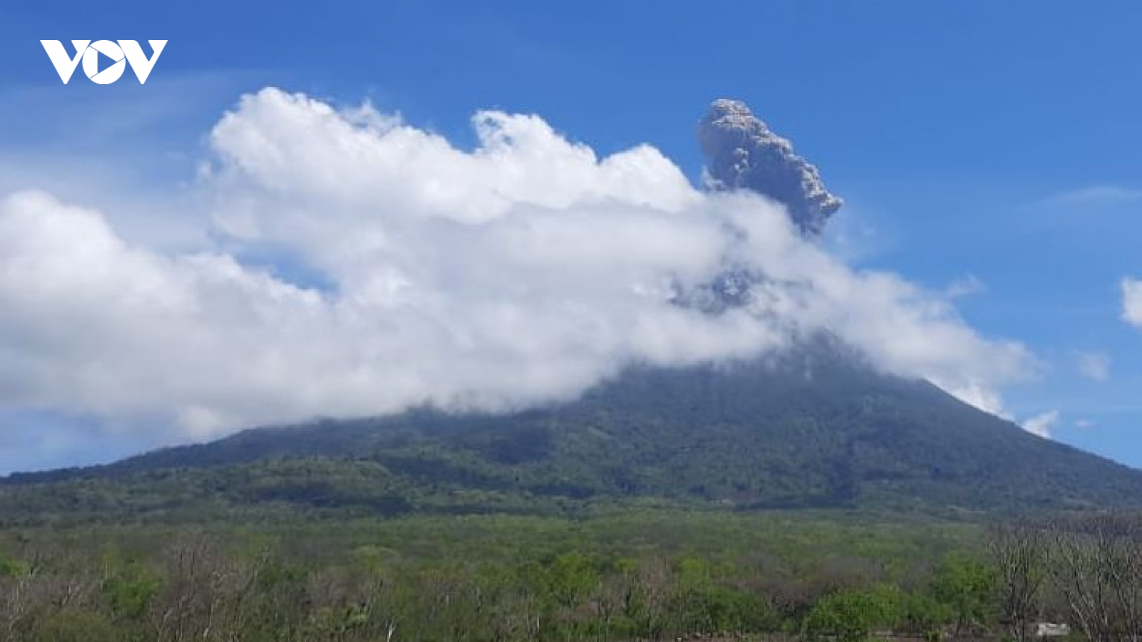 Núi lửa Indonesia phun trào cột tro 4 km, chính quyền sơ tán người dân