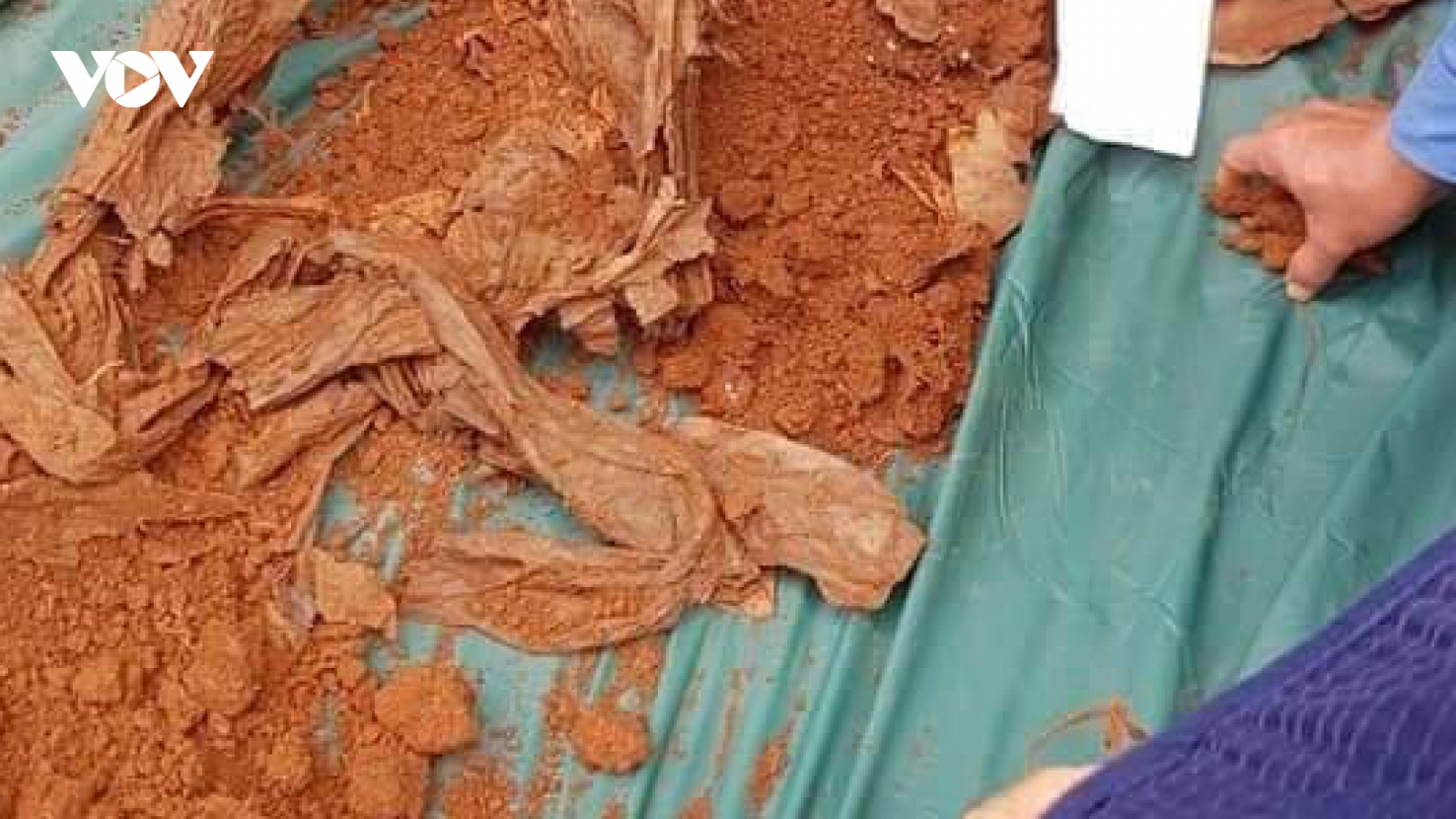 Phát hiện và quy tập 12 hài cốt liệt sĩ tại huyện Lộc Ninh, tỉnh Bình Phước