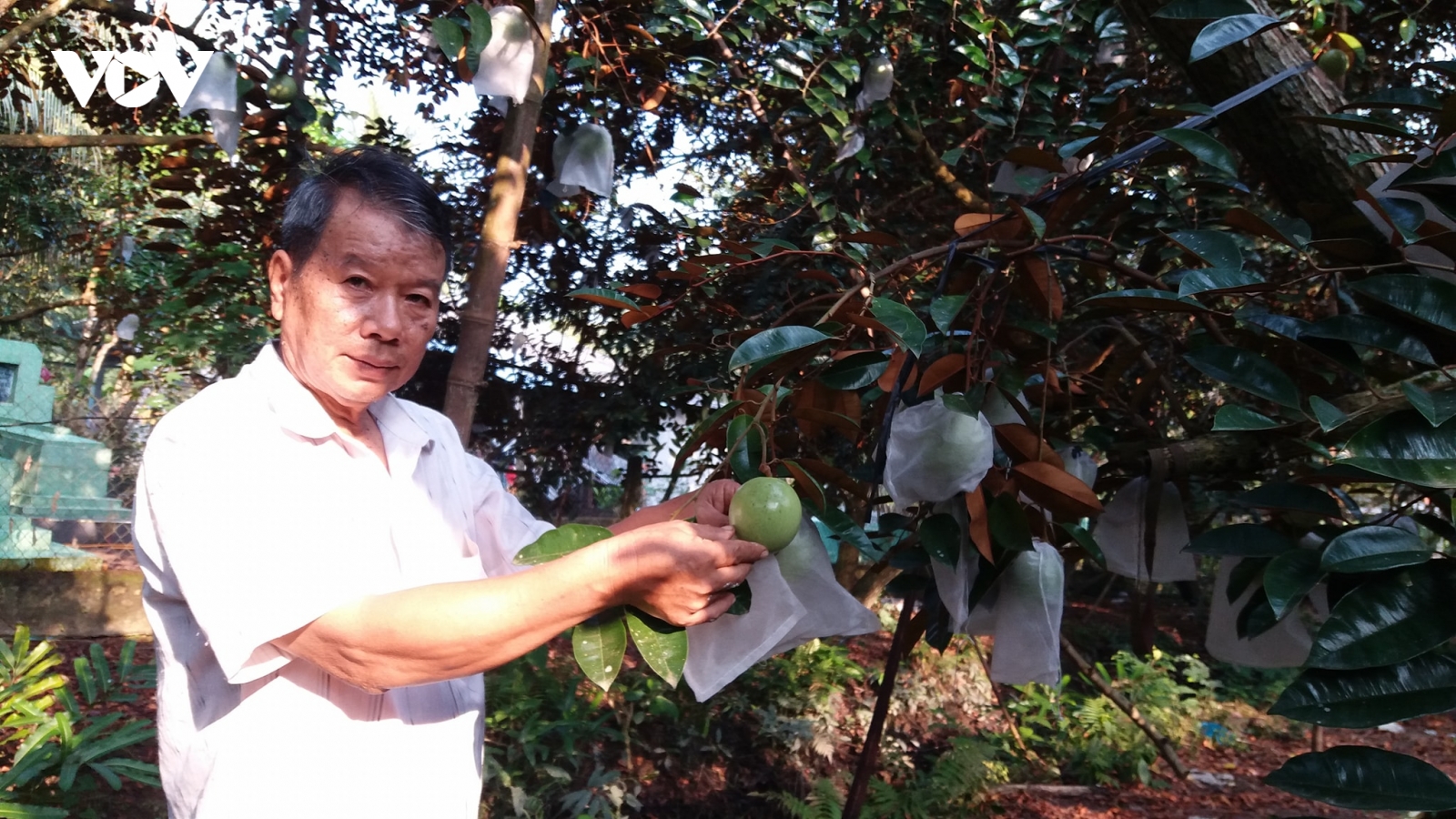 Tiền Giang: Đổi thay trên quê hương Nam Kỳ Khởi Nghĩa