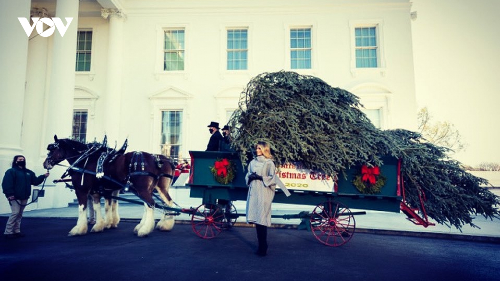 Đệ nhất phu nhân Melania đón cây thông Noel tới Nhà Trắng