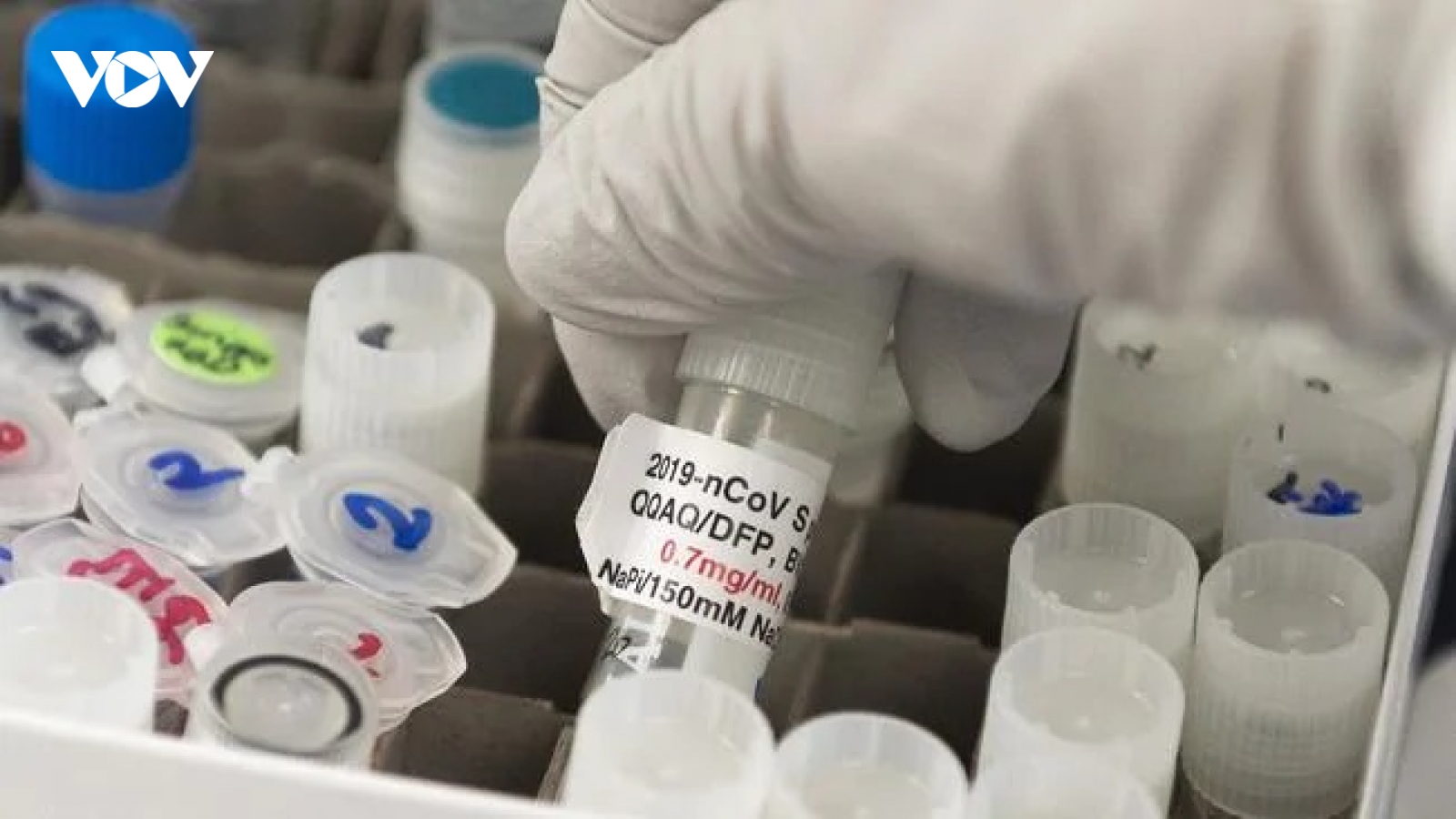 5 triệu dân Australia sẽ được tiêm vaccine Covid-19 của Pfizer vào năm tới