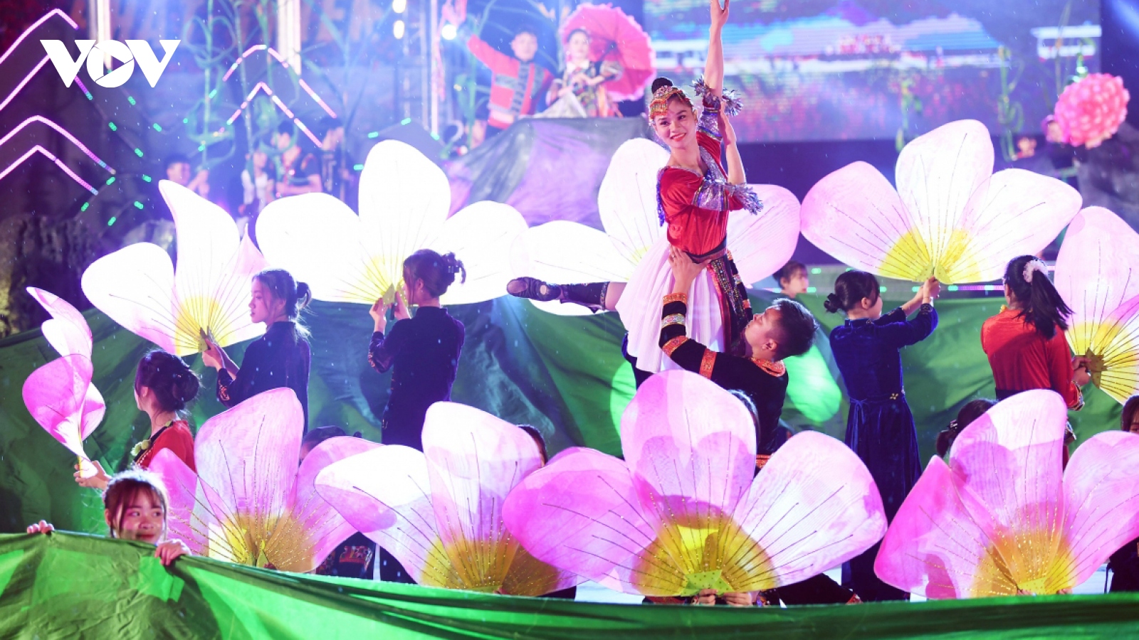 Tam Giac Mach Flower Festival 2020 kicks off in Ha Giang province
