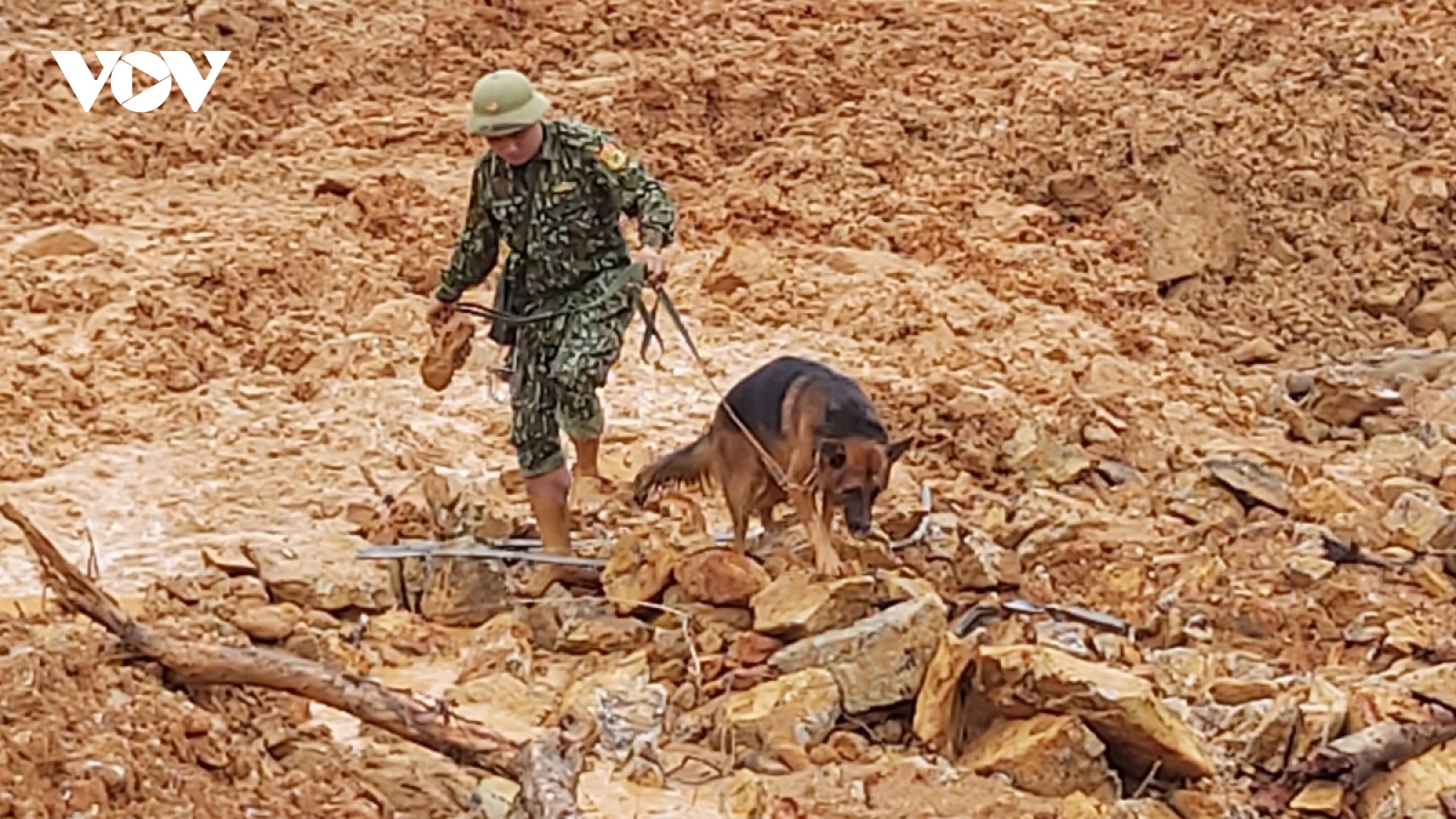Rescue workers launch search for landslide victims in central Vietnam