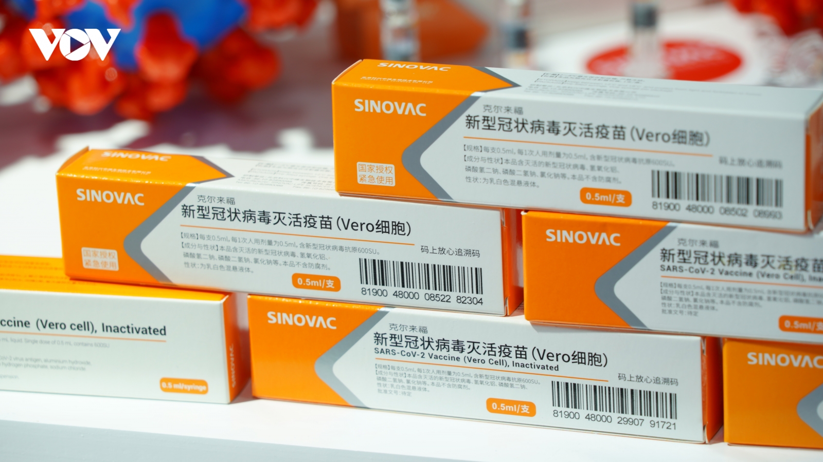 Trung Quốc đưa lô vaccine Covid-19 đầu tiên tới Brazil
