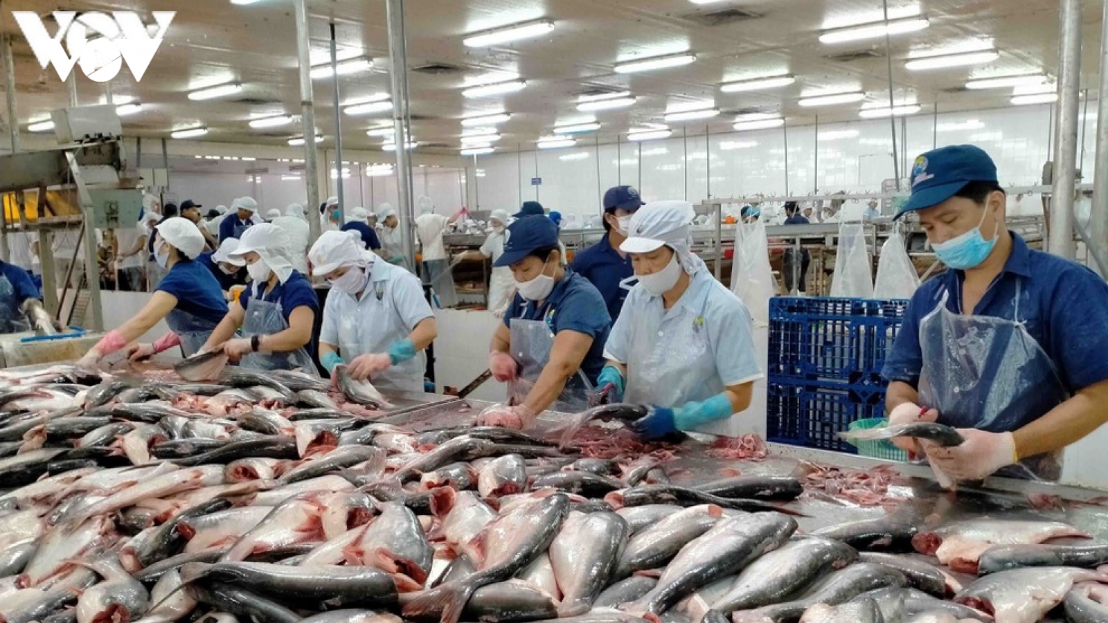 Vùng ĐBSCL nắm giữ rất nhiều sản phẩm ưa chuộng của thị trường thế giới