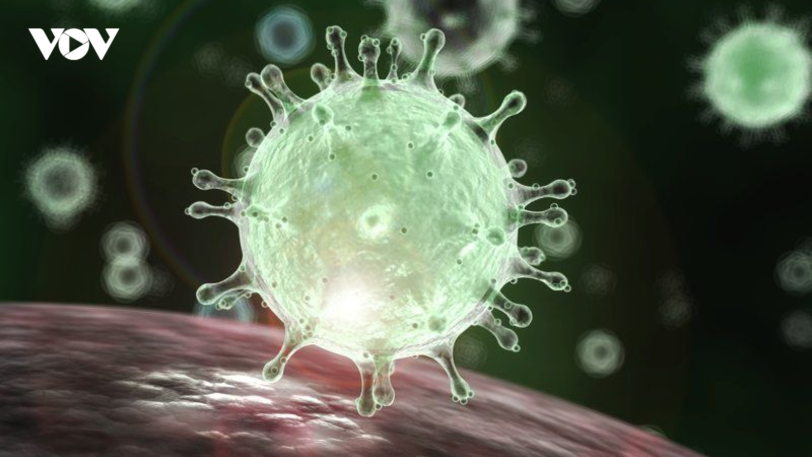 Vaccine ngừa Covid-19 của Mỹ hiệu quả 95%