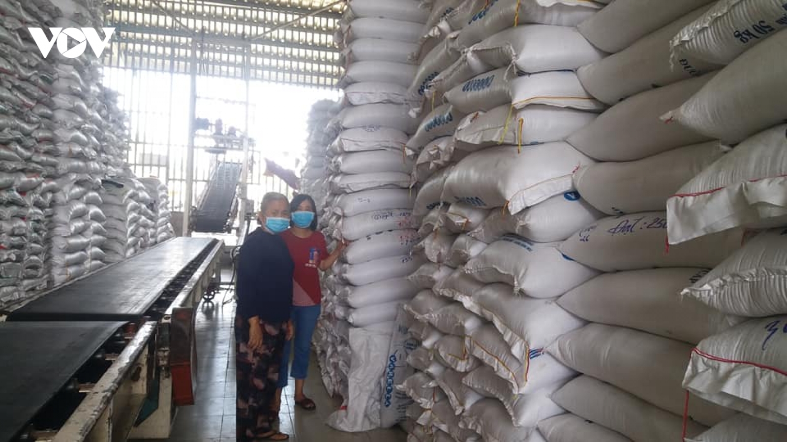 Xuất khẩu thuận lợi, giá lúa gạo tăng mạnh