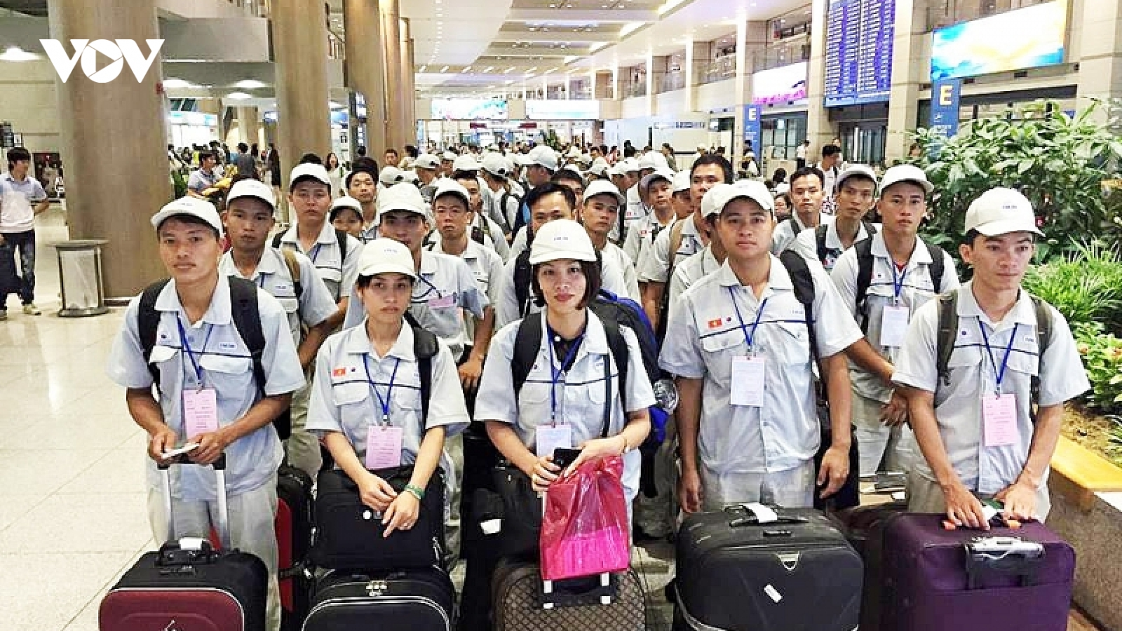 Phạt 400 triệu đồng 1 doanh nghiệp sai phạm khi đưa lao động đi nước ngoài 