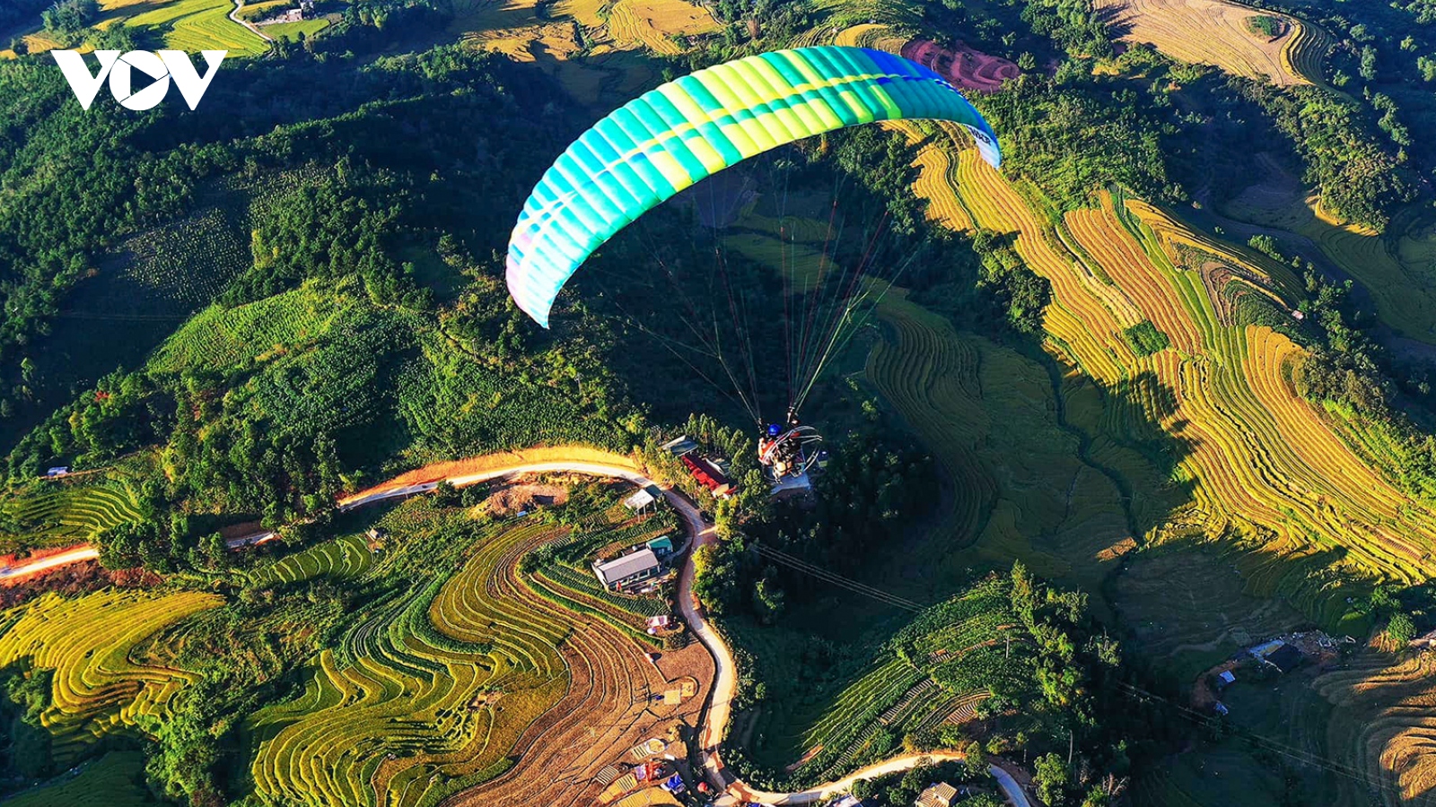 Mùa vàng rực rỡ trên rẻo cao Bình Liêu