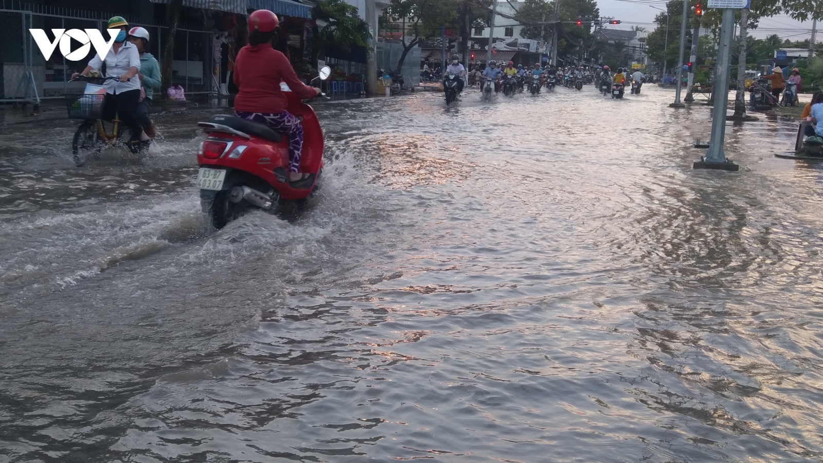 Triều cường gây ngập lụt trên diện rộng tại Tiền Giang và Bến Tre