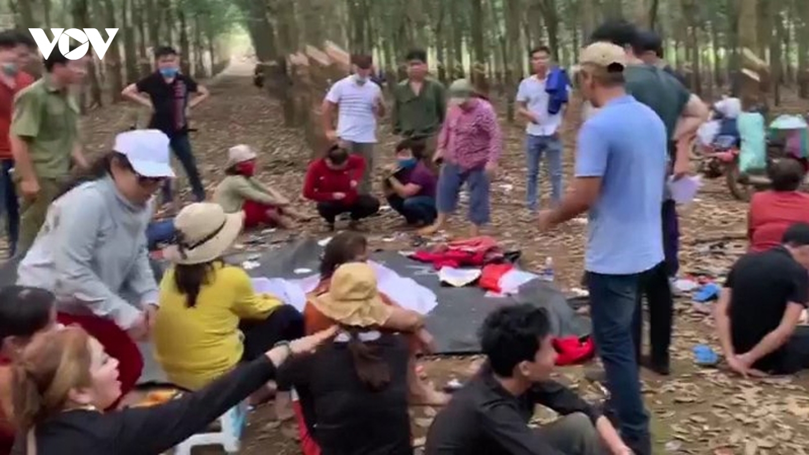 Triệt phá tụ điểm đánh bạc quy mô lớn trong lô cao su ở Bình Phước