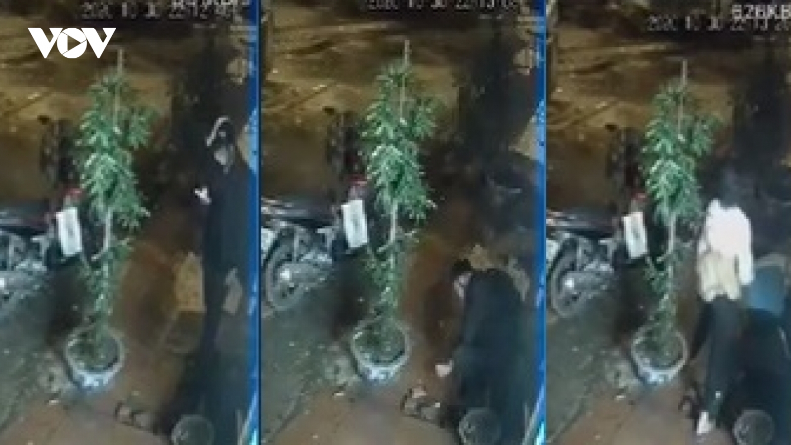 Sử dụng súng săn gây chết người bị xử lý như thế nào?