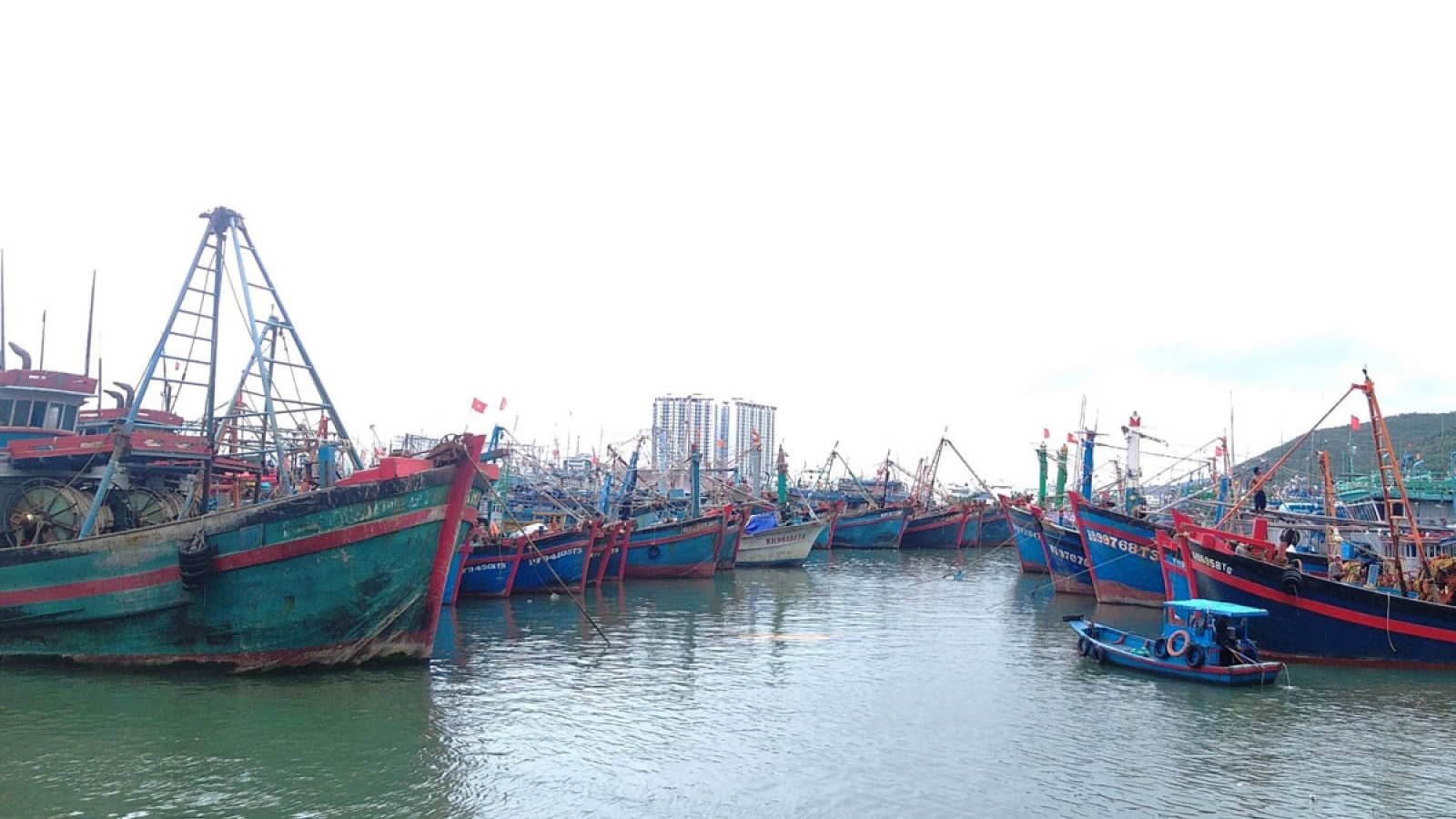 Bão số 12: Các tỉnh Nam Trung bộ cấm biển, kêu gọi tàu thuyền trú, tránh 