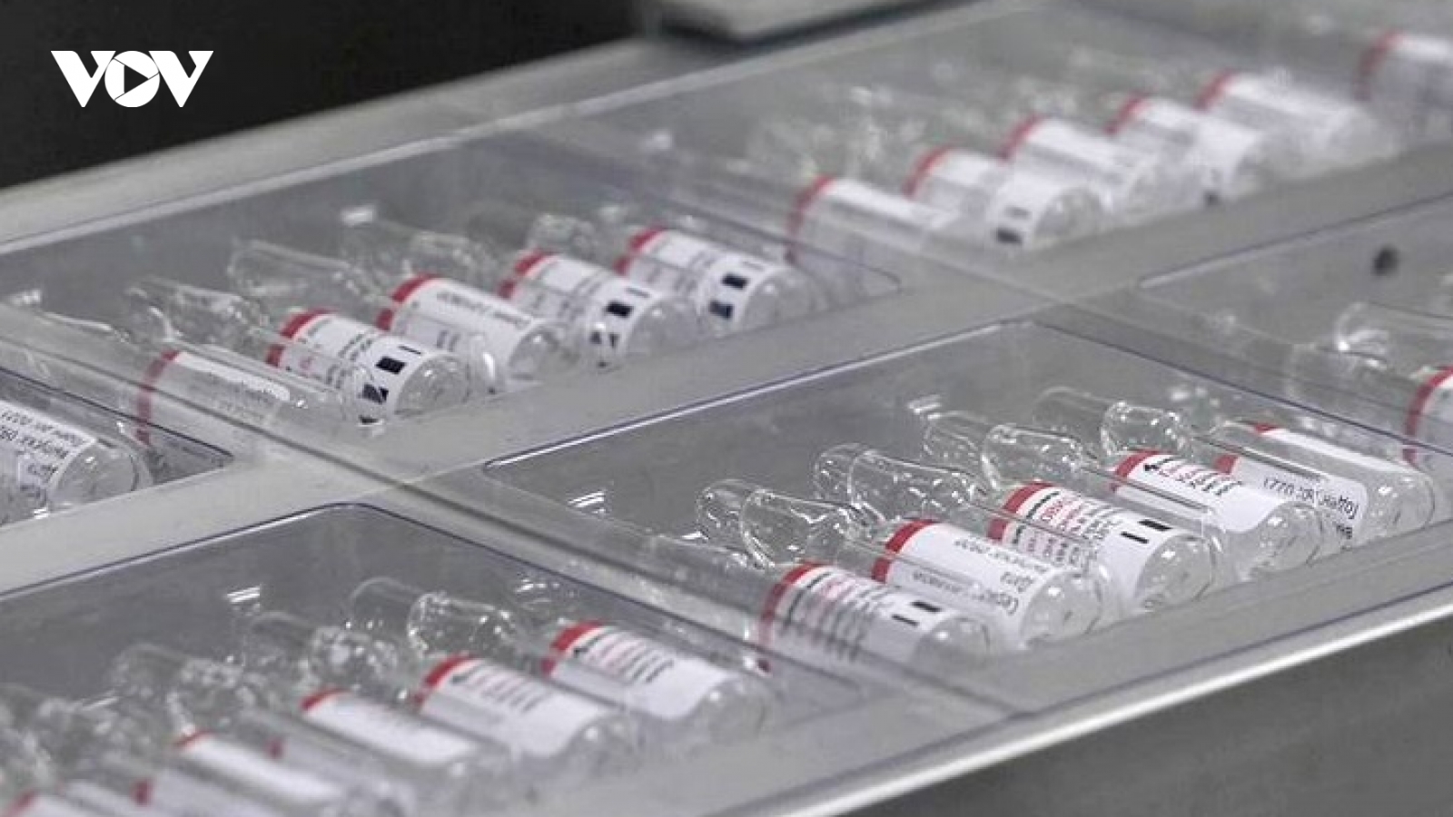 Nga đưa vaccine ngừa Covid-19 vào danh sách thuốc thiết yếu