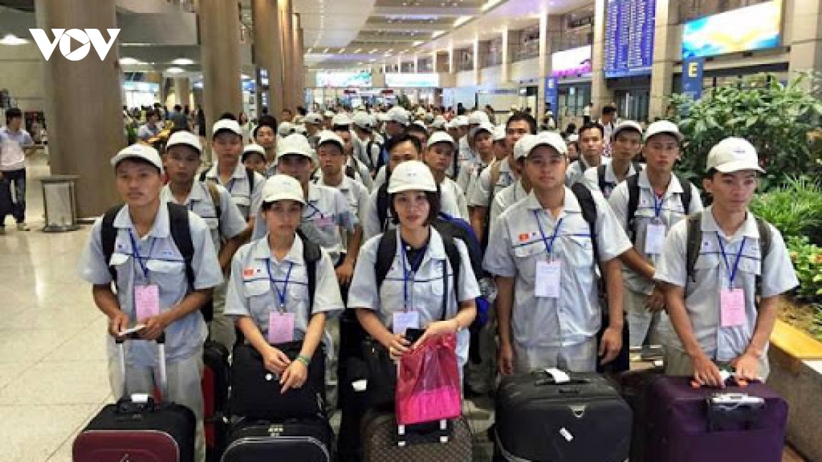Cảnh báo tình trạng lừa đảo, thu tiền trái phép đưa lao động đi nước ngoài