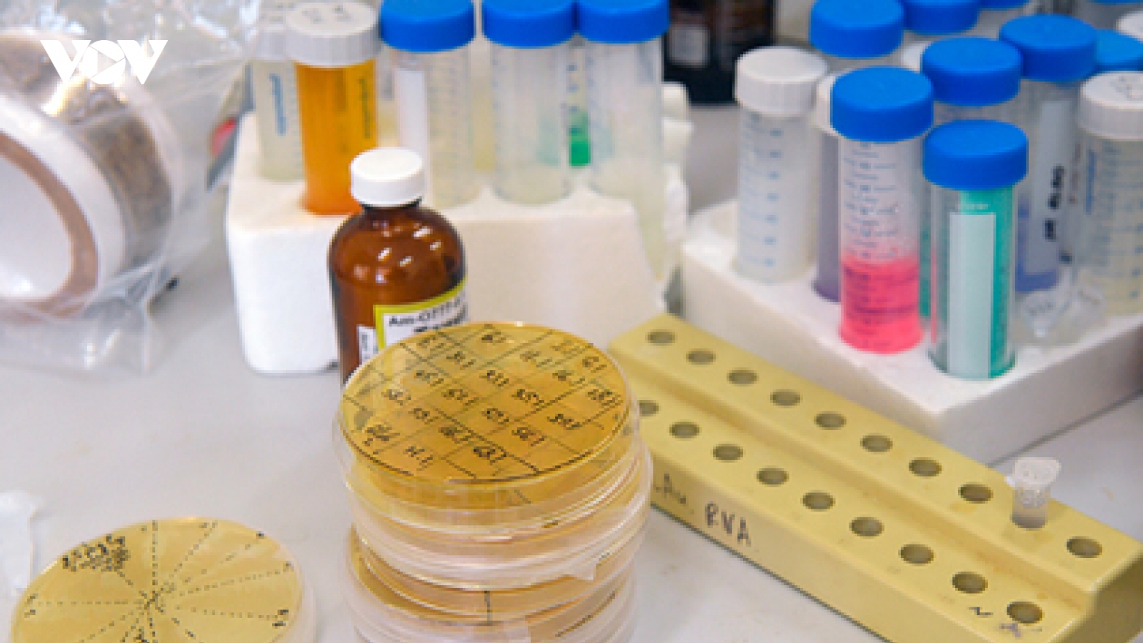 Nga đã có những nguyên mẫu vaccine ngừa HIV