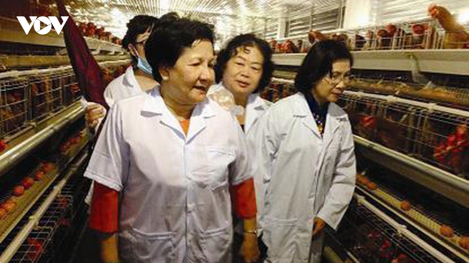Hơn 40 năm xây dựng thương hiệu “Ba Huân” trong ngành nông nghiệp