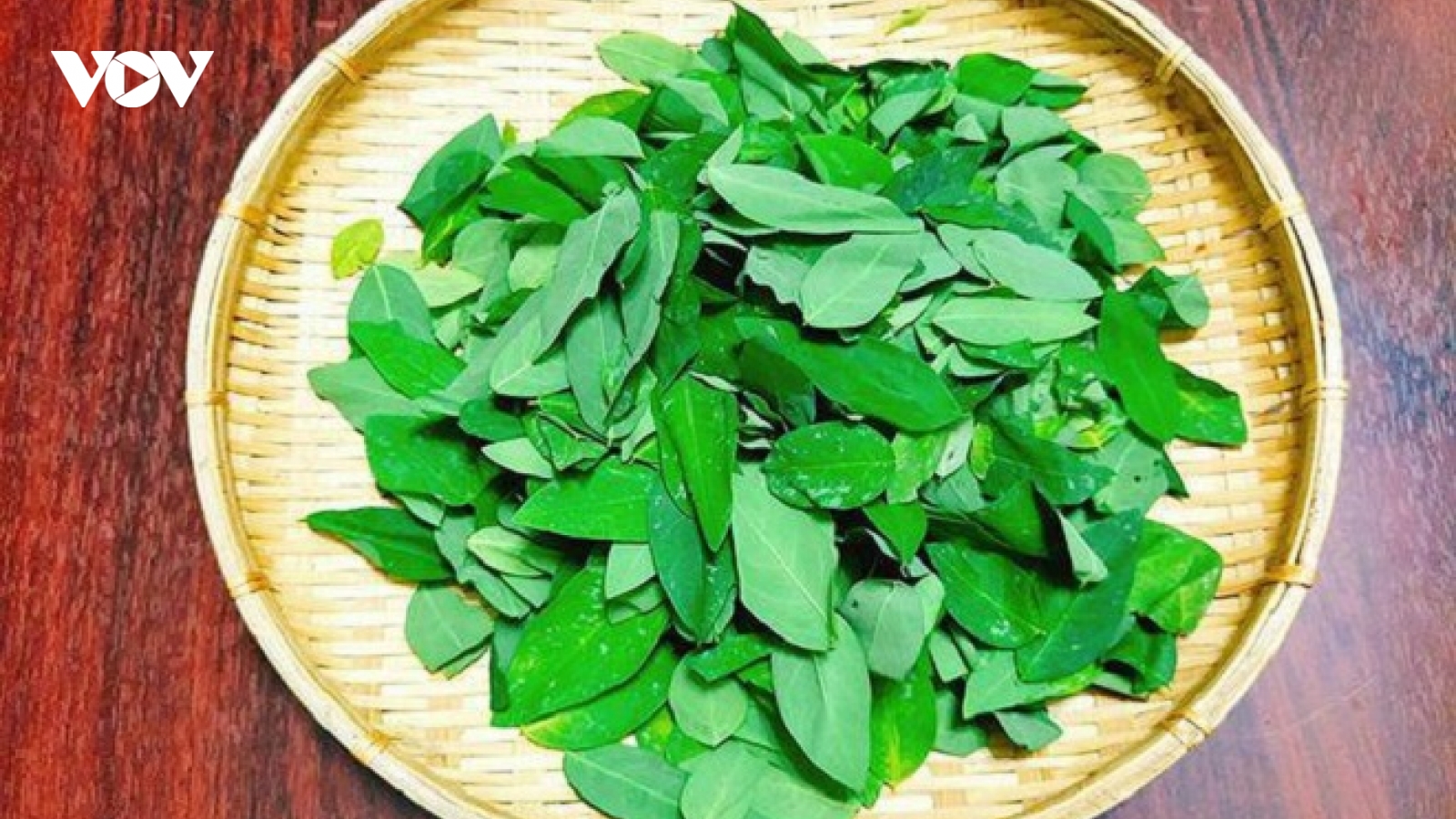 Những người tuyệt đối không nên ăn rau ngót