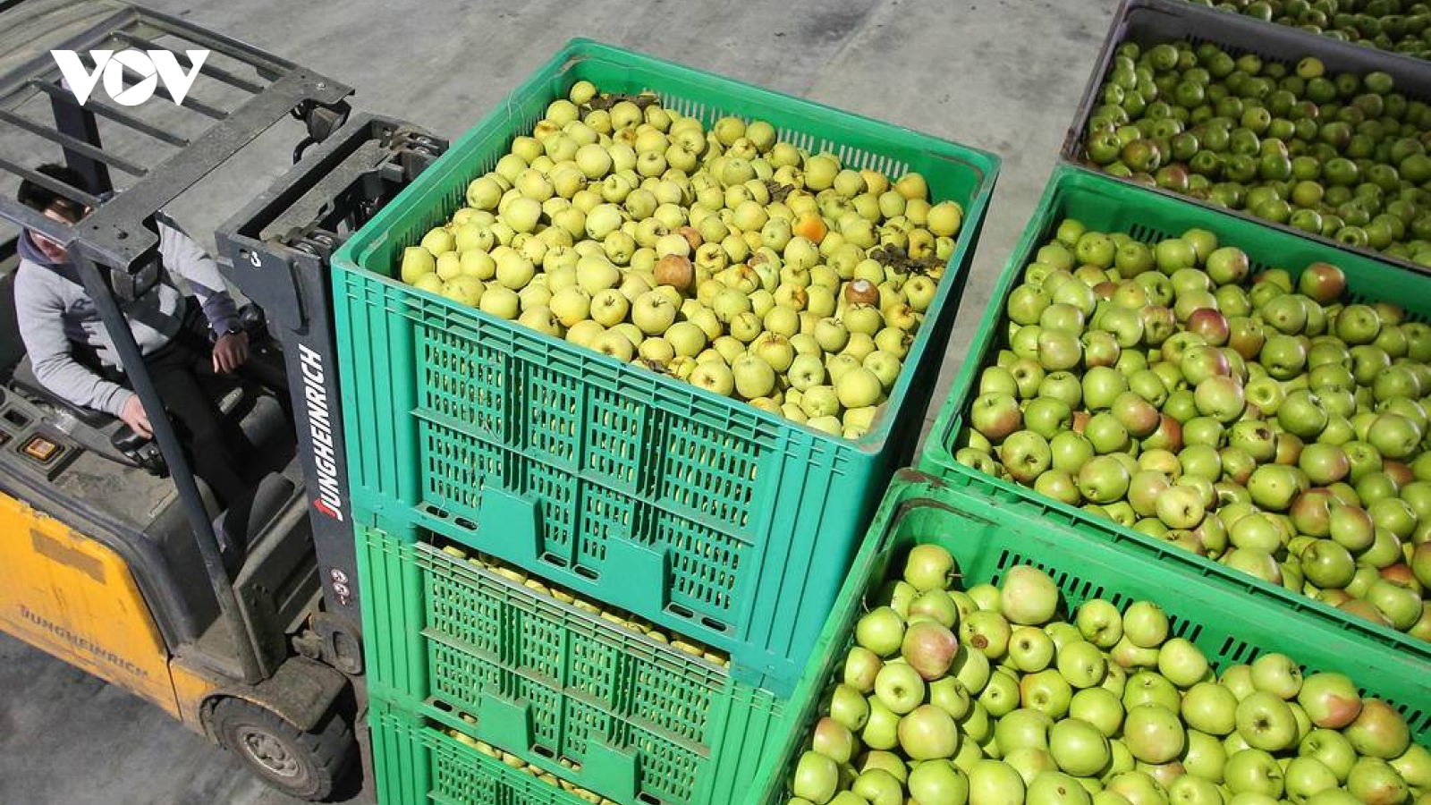 Nga cấm nhập cà chua và táo từ Azerbaijan từ ngày 10/12