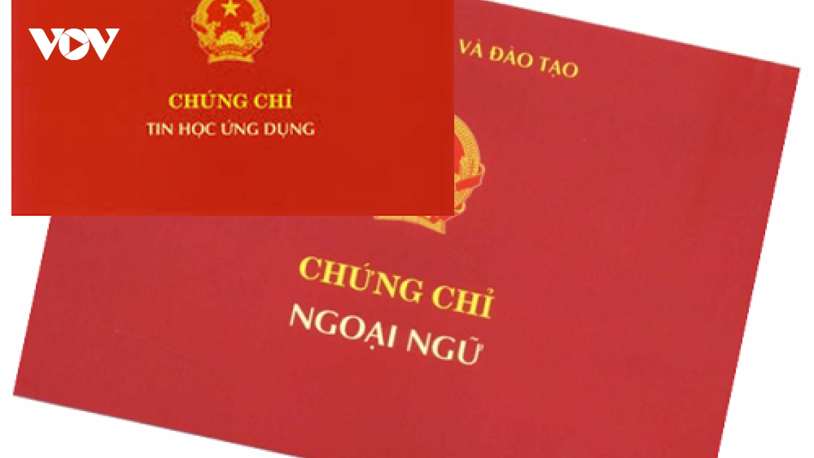 Sẽ miễn chứng chỉ ngoại ngữ, tin học cho giáo viên từ tháng 2/2021?