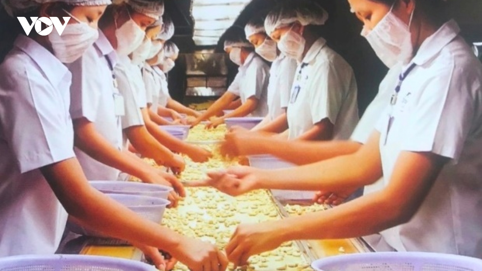 13.000 lao động trong các khu công nghiệp ở Đồng Nai mất việc vì dịch Covid-19