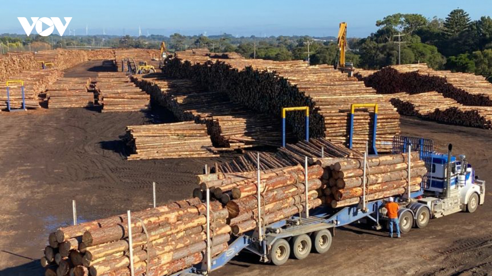 Trung Quốc mở rộng lệnh cấm nhập khẩu gỗ tròn của Australia