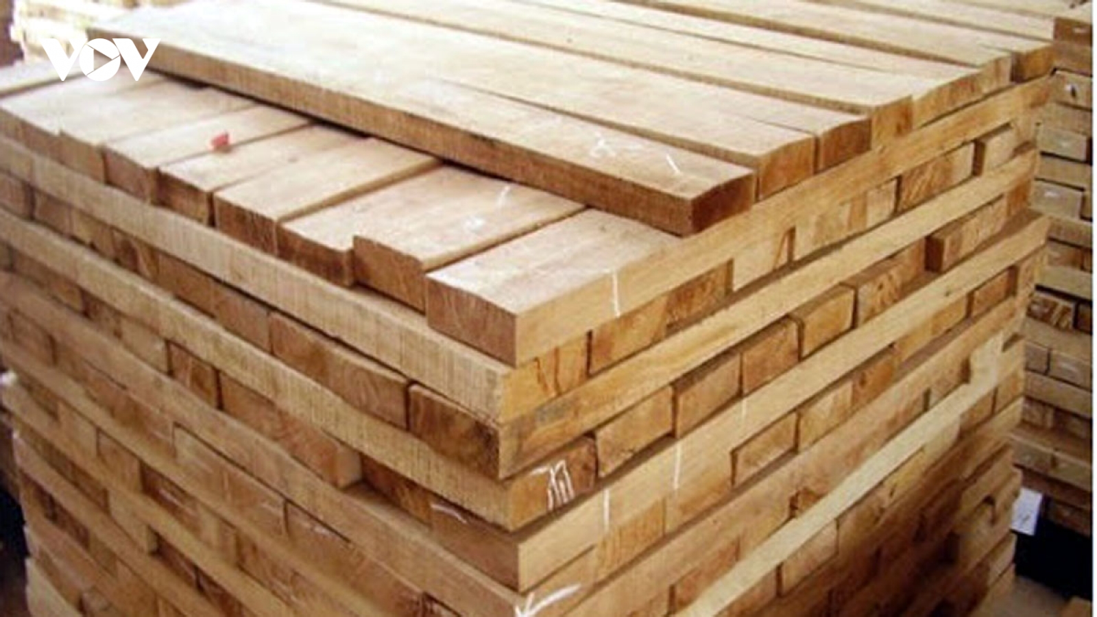 Xuất khẩu gỗ tăng trưởng nhanh tiềm ẩn nhiều rủi ro